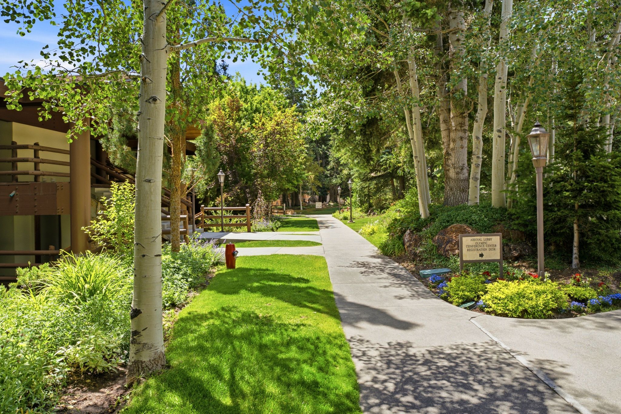 Paved walkway bordered by manicured lawns and mature deciduous trees