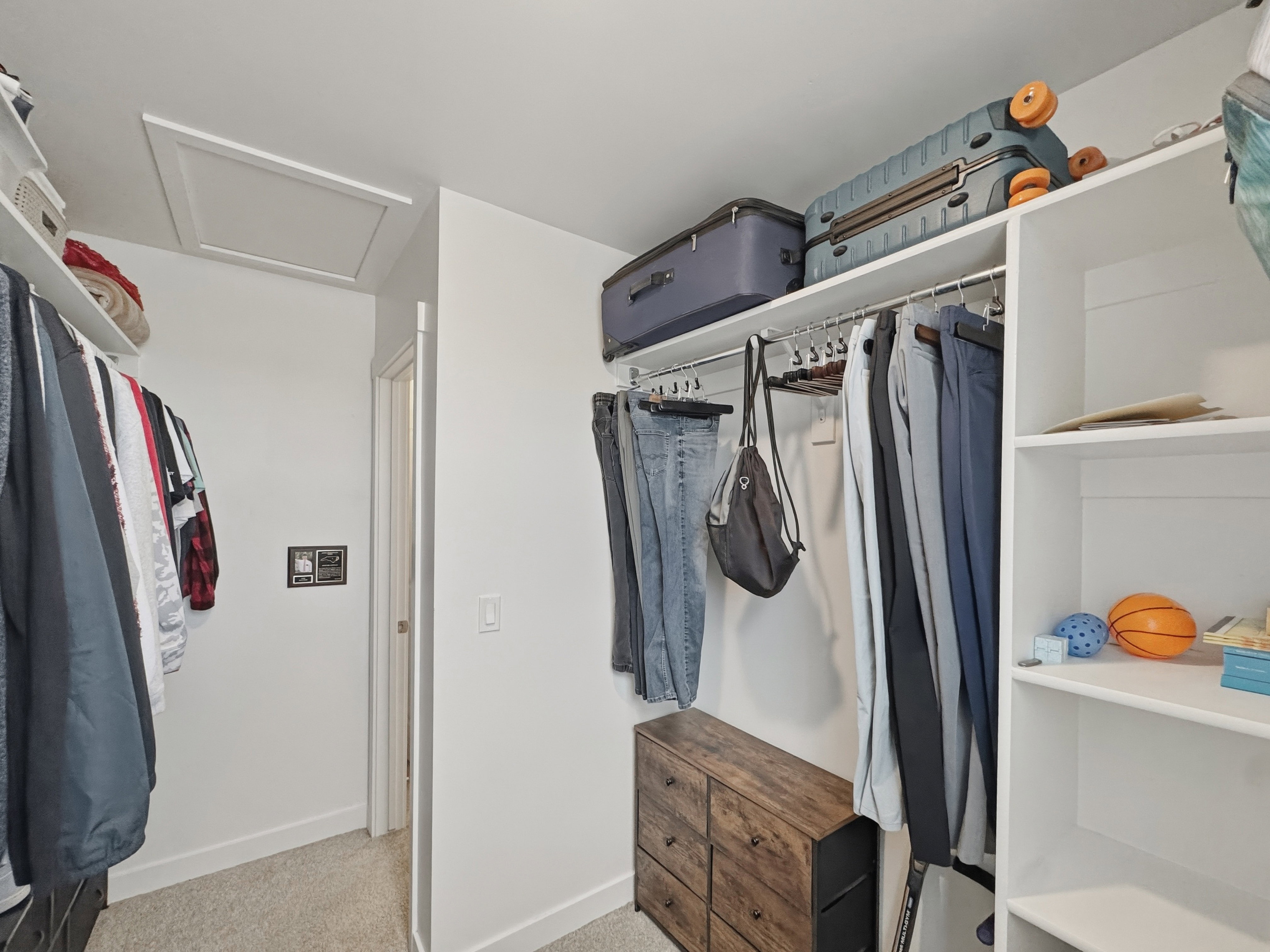 Walk-in closet featuring white built-in shelving, carpet flooring, a clothes hanging rod, and a ceiling access panel