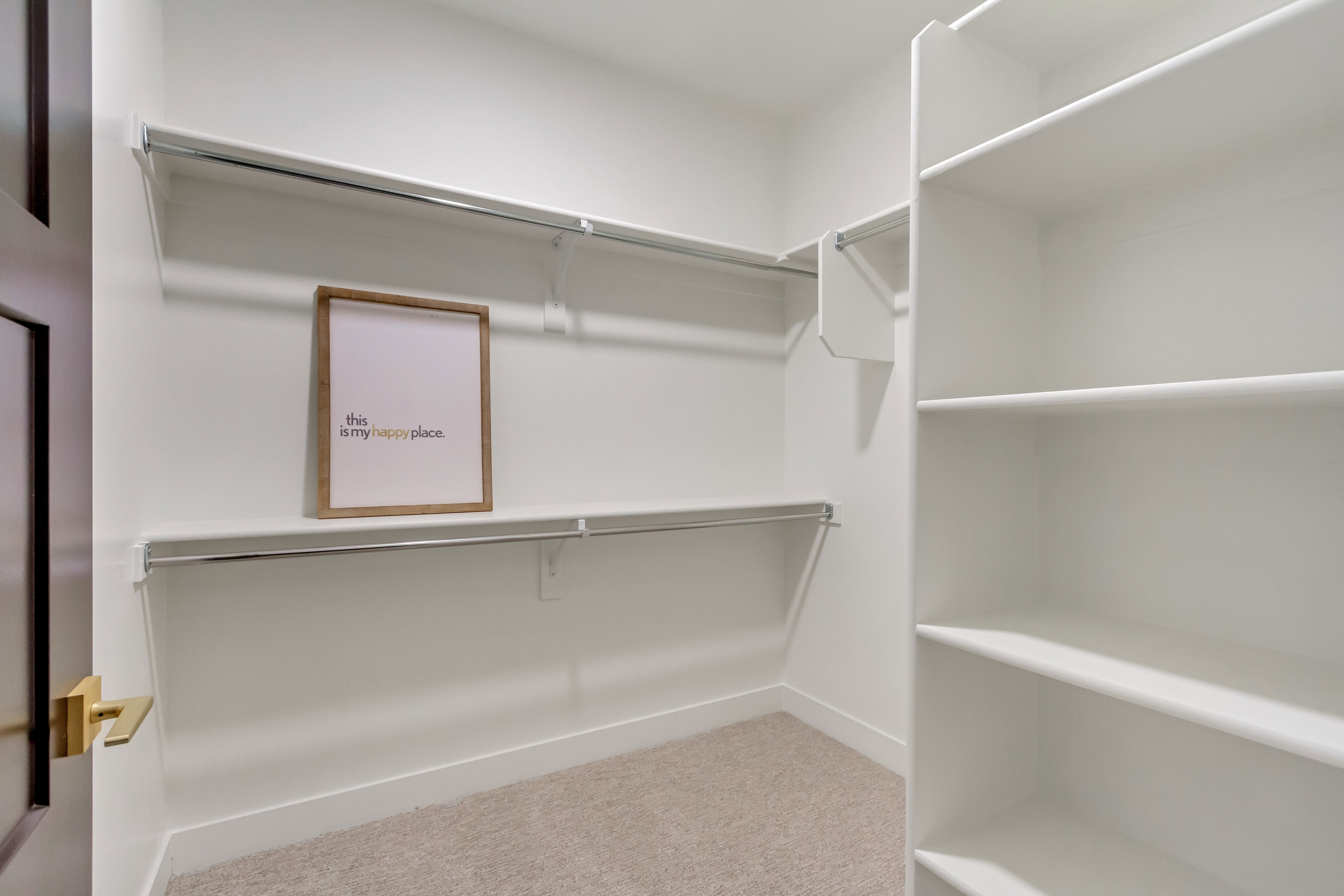 Walk-in closet with carpet flooring, white walls, built-in shelving, and metal hanging rods