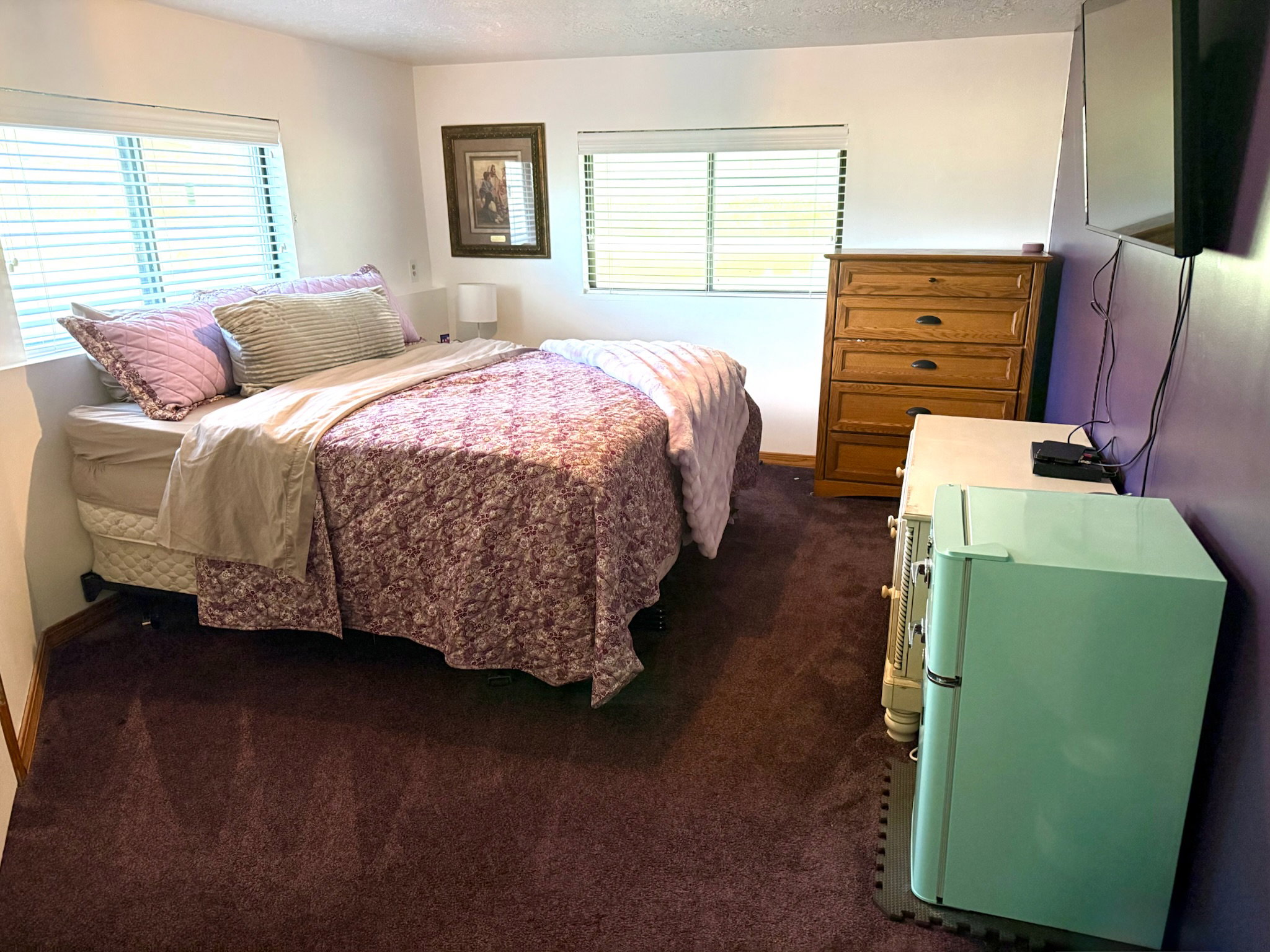Plush brown carpet flooring complements white walls and two windows with horizontal blinds