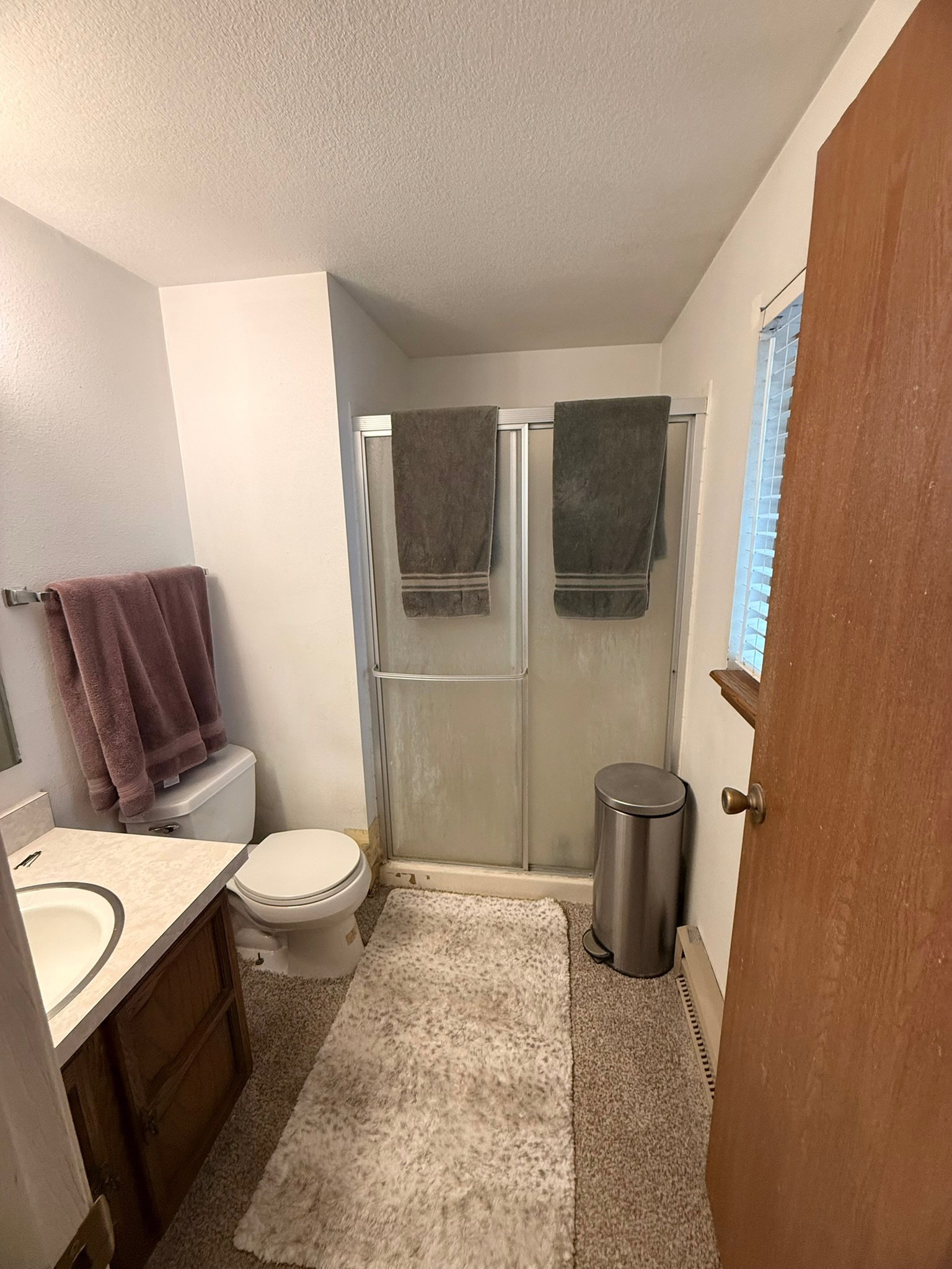 Full bathroom featuring a shower with sliding frosted glass doors, white toilet, and a vanity with an integrated sink and wood-finish cabinetry