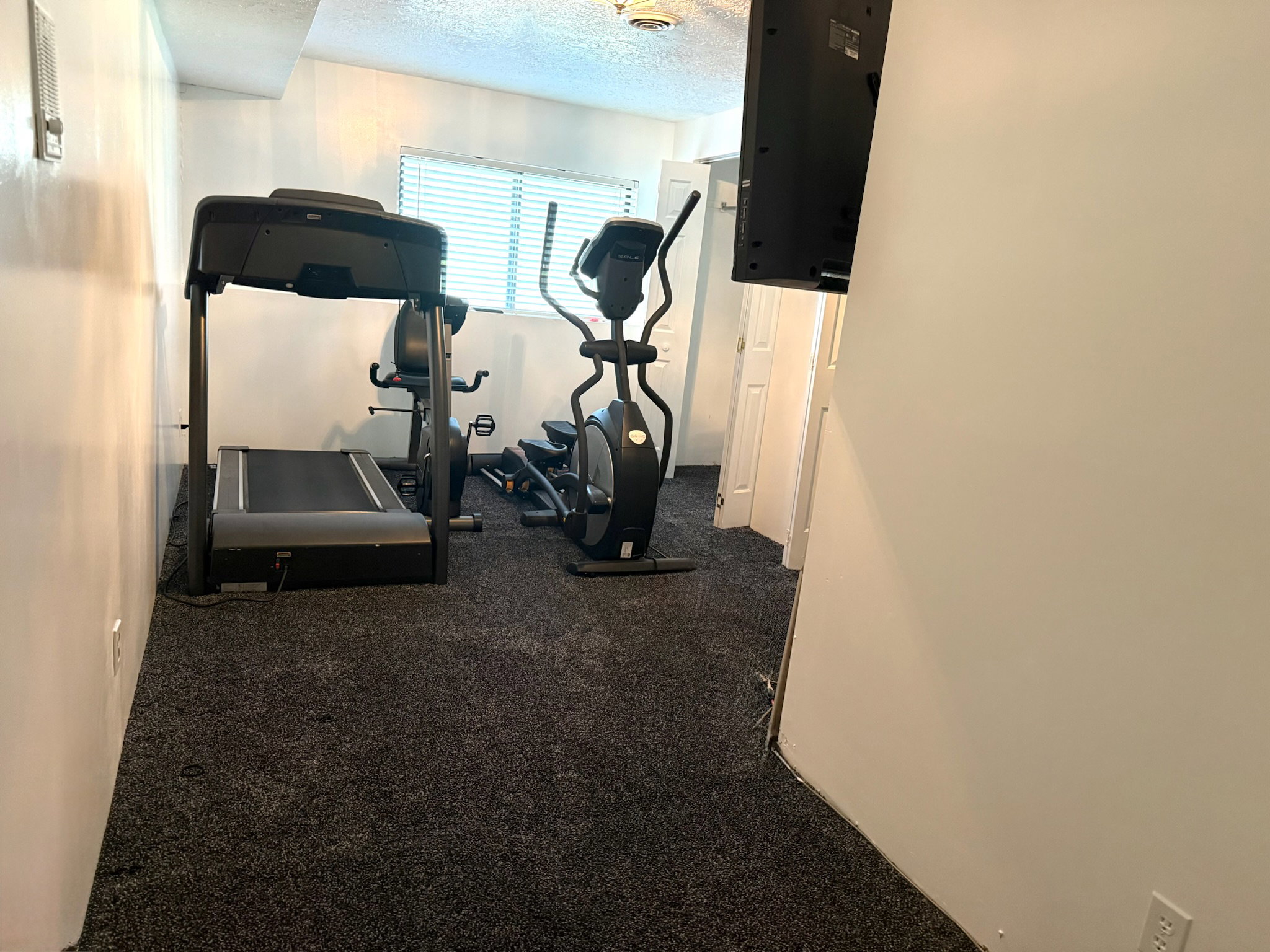 Carpeted interior space with neutral wall paint and a window featuring horizontal blinds