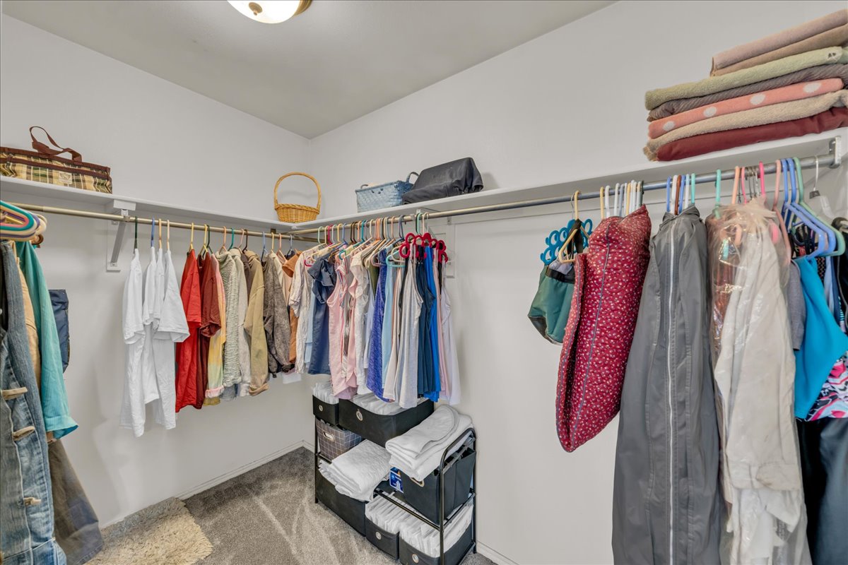Walk-in closet featuring white walls, gray carpet flooring, and extensive built-in shelving with hanging rods