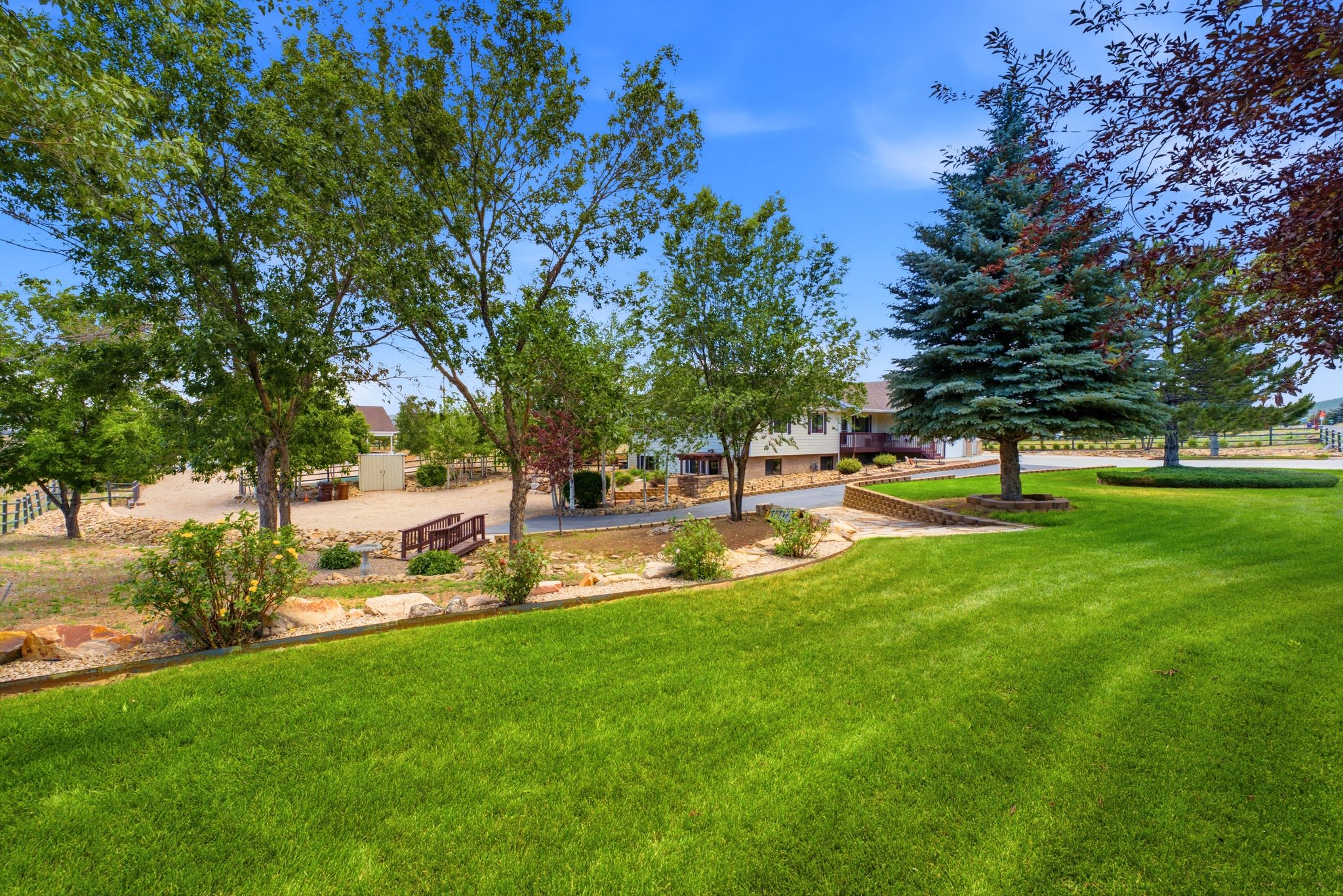 Expansive green lawn with mature trees and landscaping