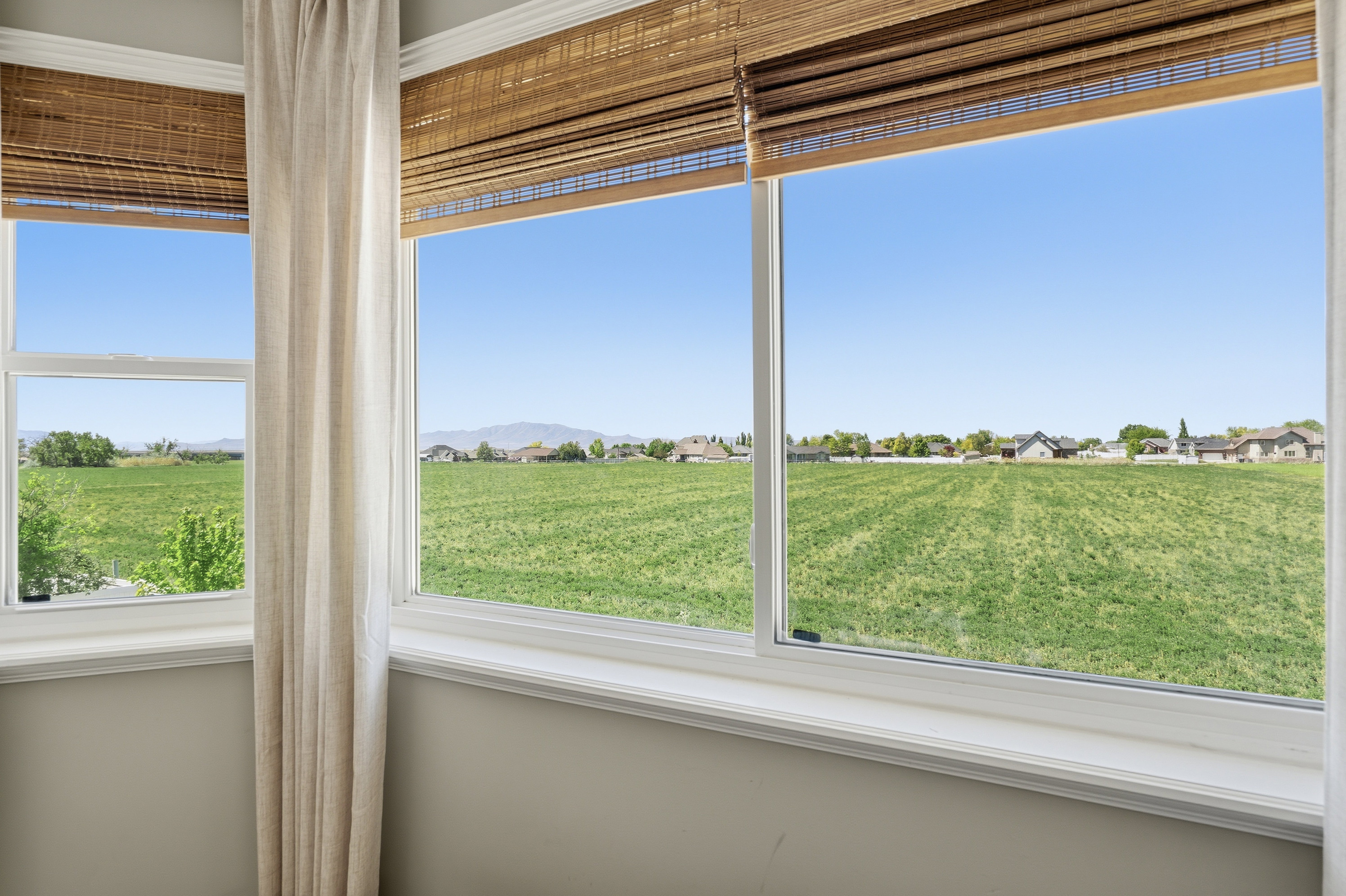 View from Primary Bedroom Windows