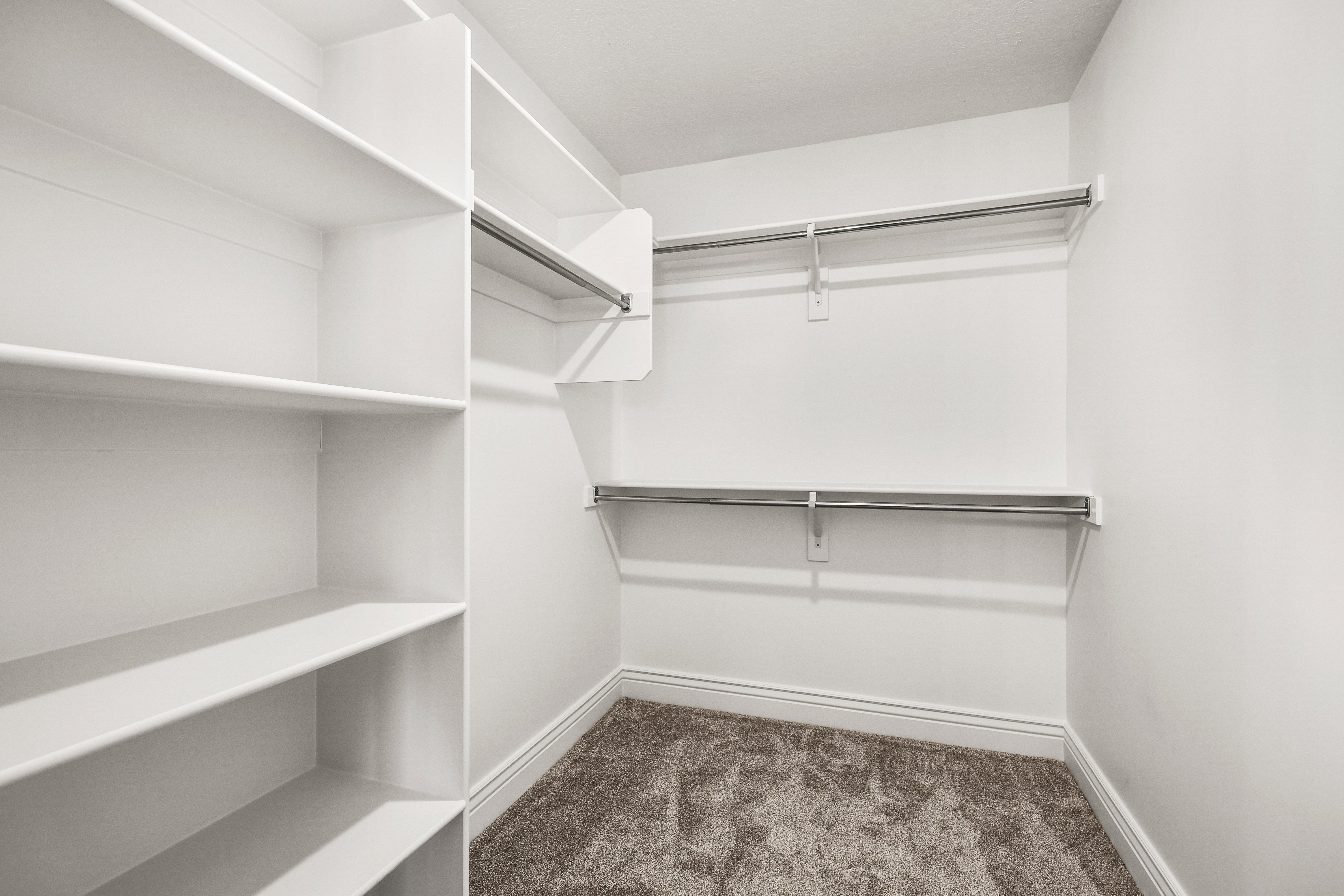 Walk-in closet featuring white built-in shelving, chrome hanging rods, white baseboards, and neutral carpet flooring