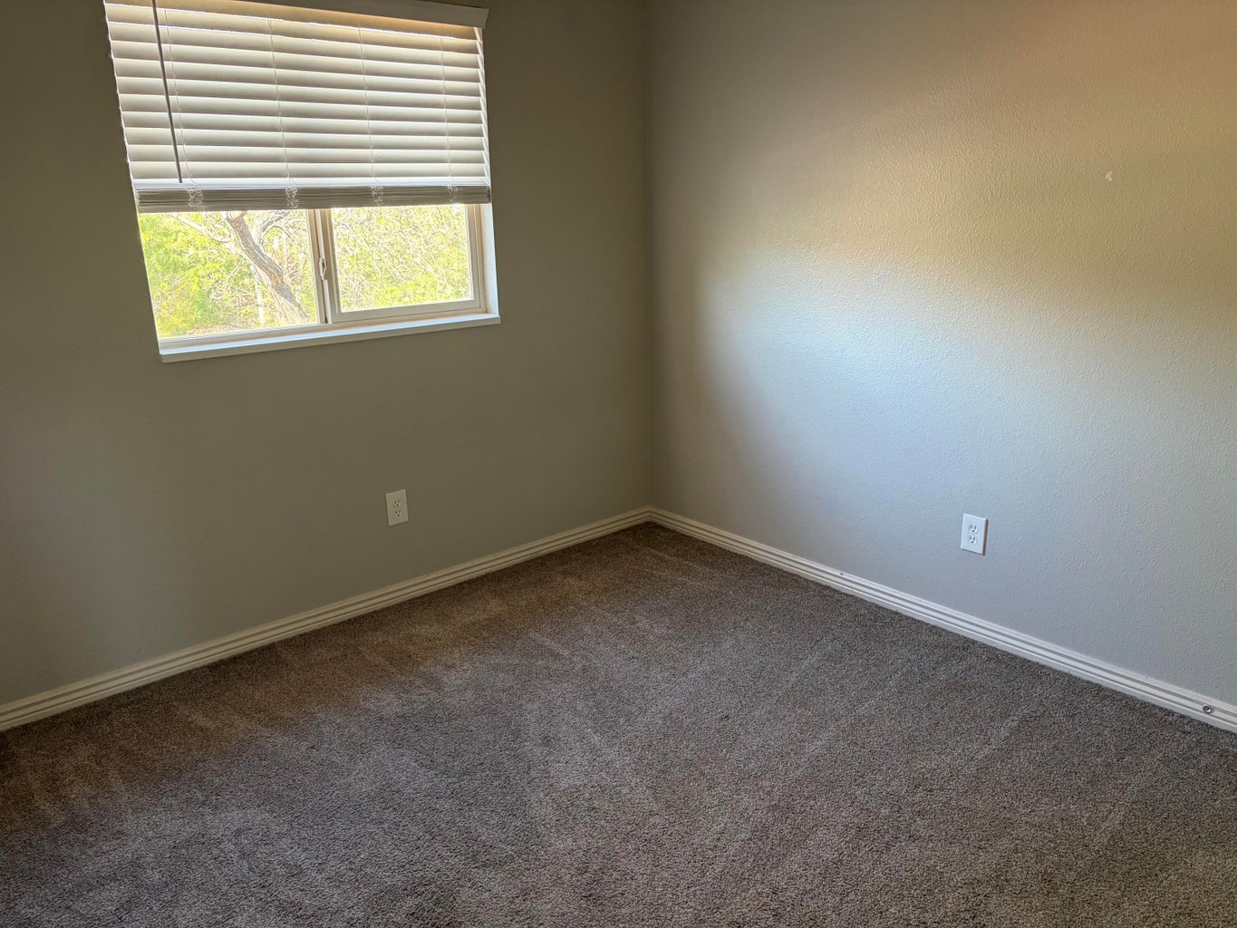 Neutral-toned walls complement plush carpeting