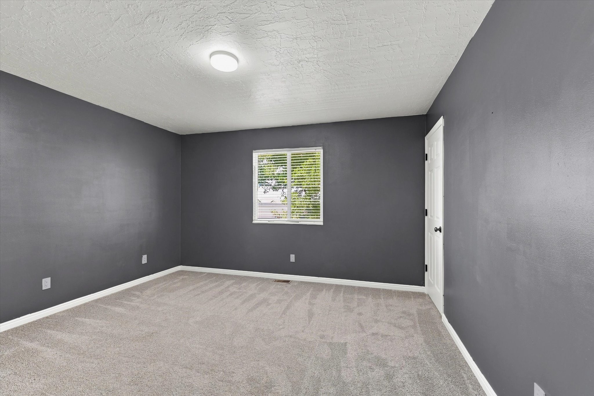 Spacious room featuring neutral carpet flooring, dark gray painted walls, a textured white ceiling, and a single window with horizontal blinds