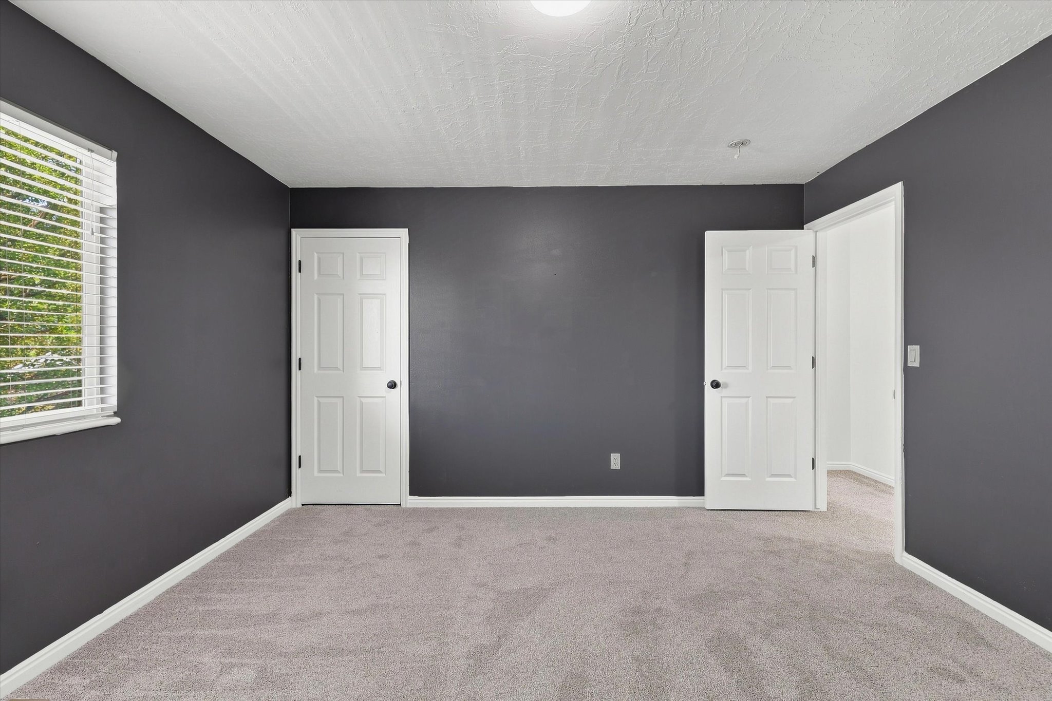 Spacious room featuring dark gray walls, light gray carpet flooring, white baseboards, and a single window with horizontal blinds