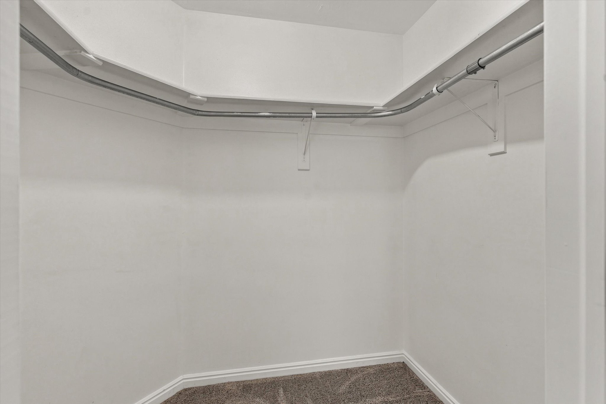 Walk-in closet with overhead shelving, metal garment rod, and neutral carpet flooring