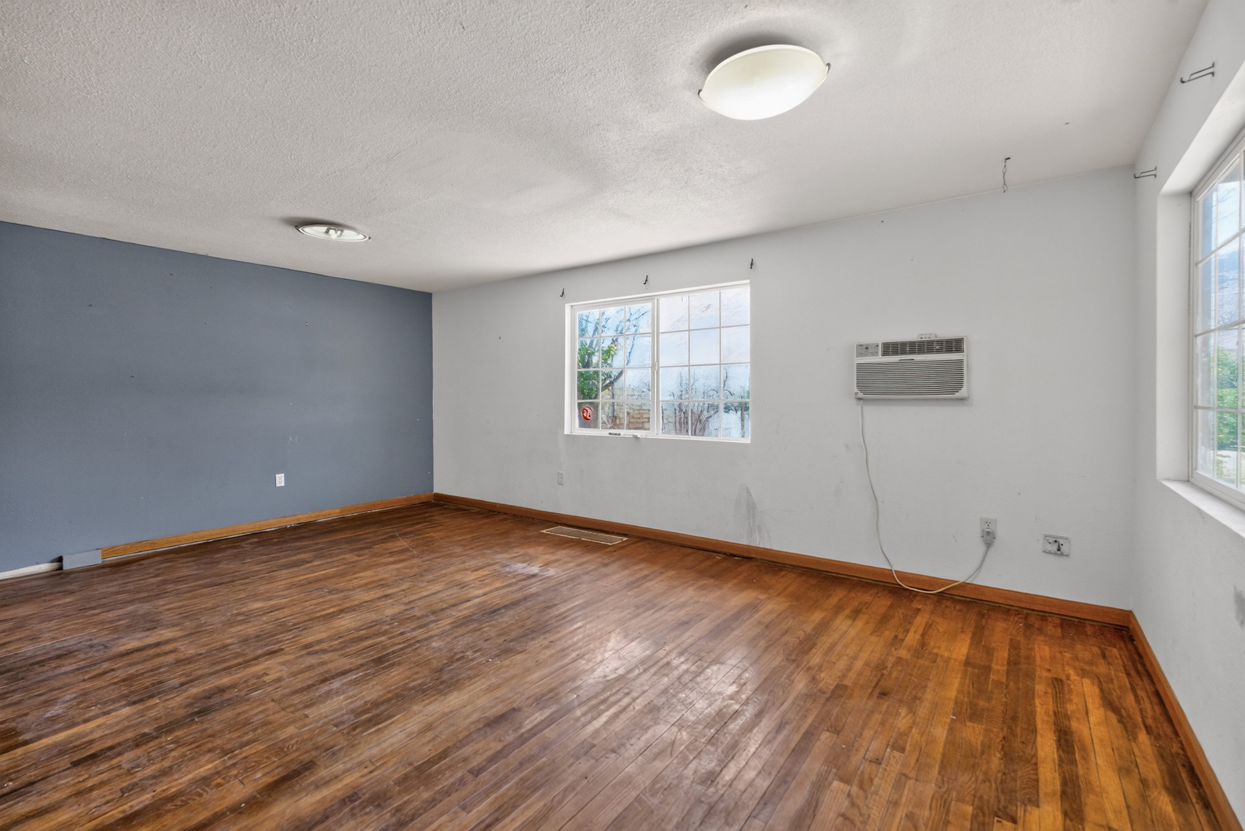 Spacious room featuring wood-finish flooring, multiple windows, and two ceiling-mounted light fixtures