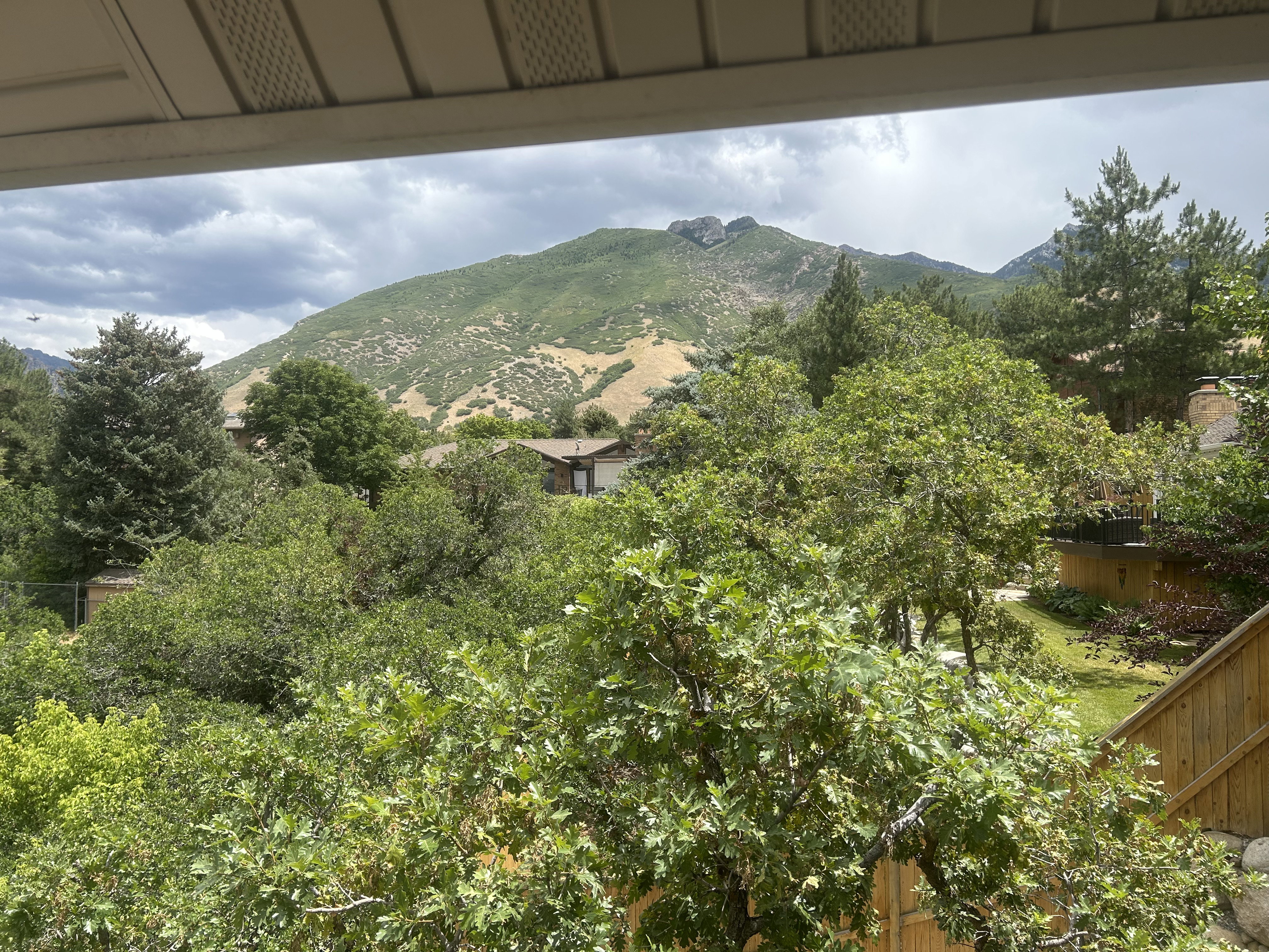Mountain backdrop with abundant mature trees and lush green foliage