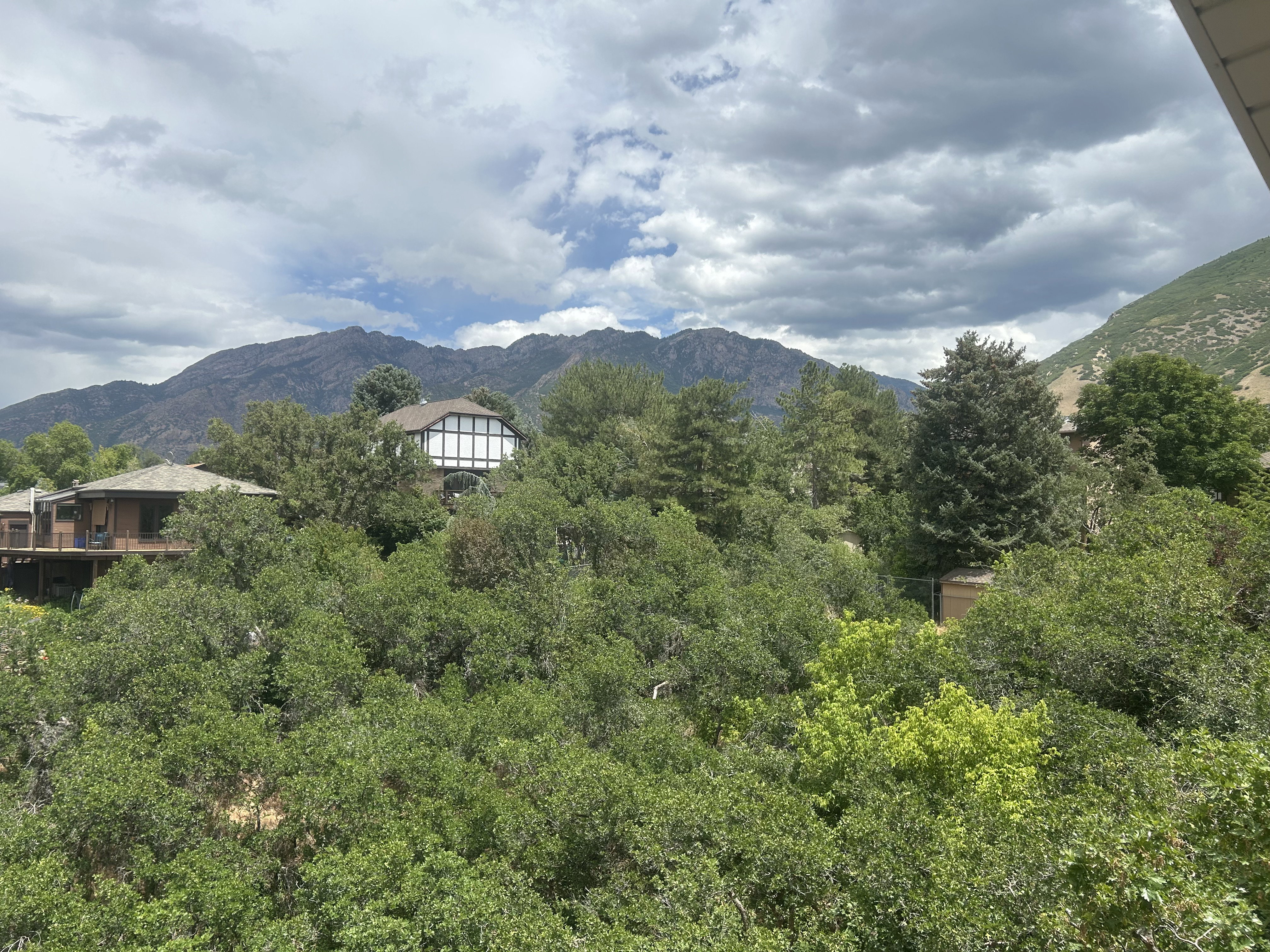 Mountain backdrop featuring dense natural foliage and a partial view of a neighboring property