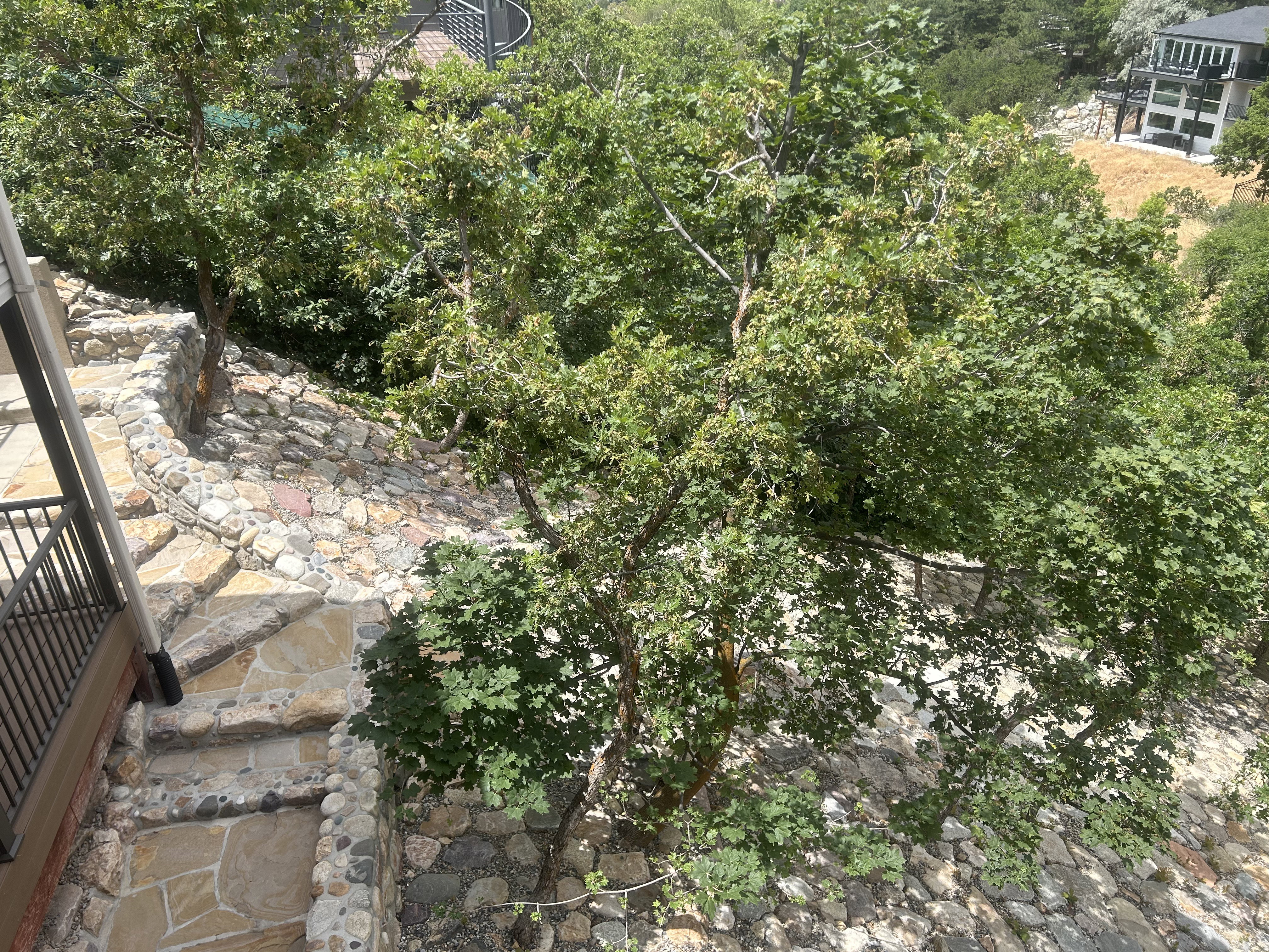Terraced stone pathway with integrated stone retaining walls, surrounded by mature trees