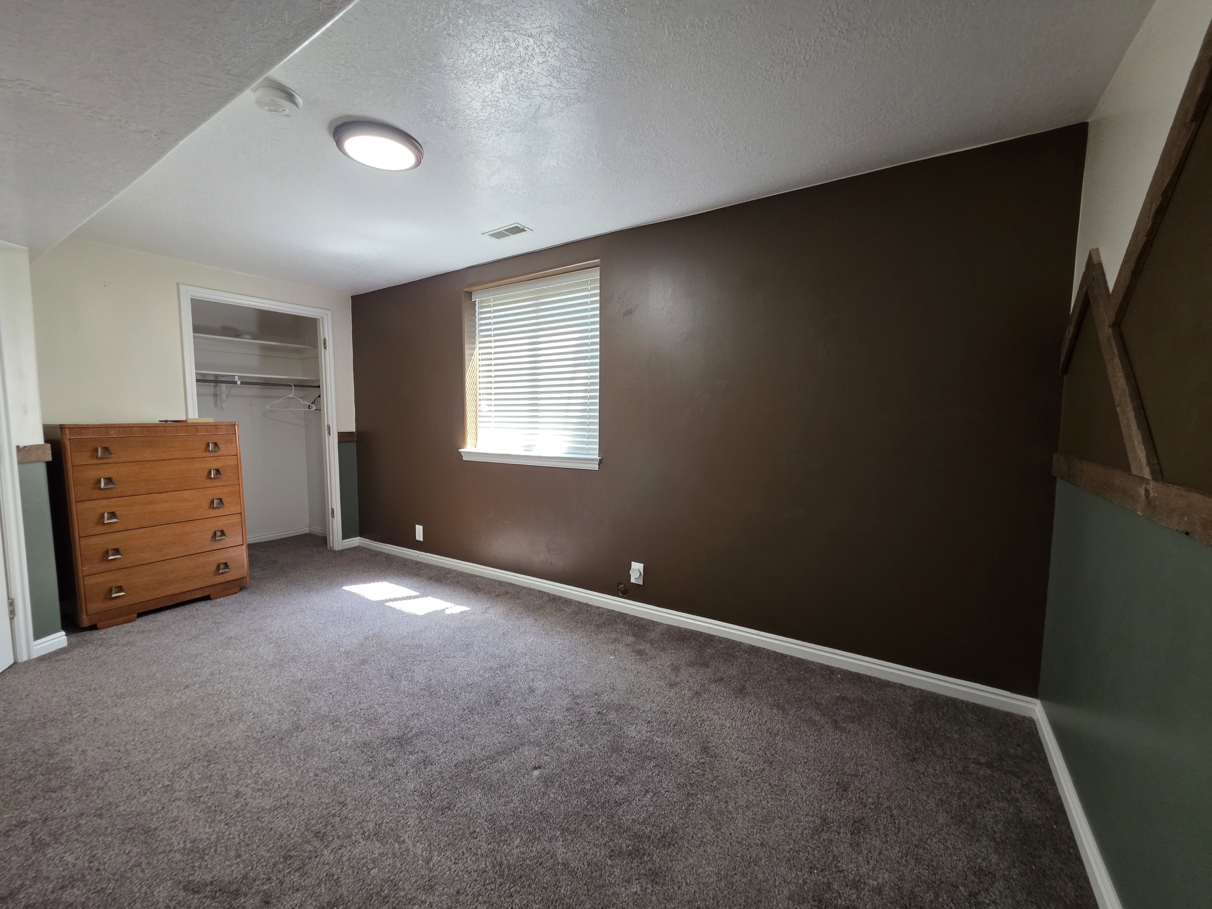 Room featuring plush gray carpeting, a brown accent wall, and a window with horizontal blinds