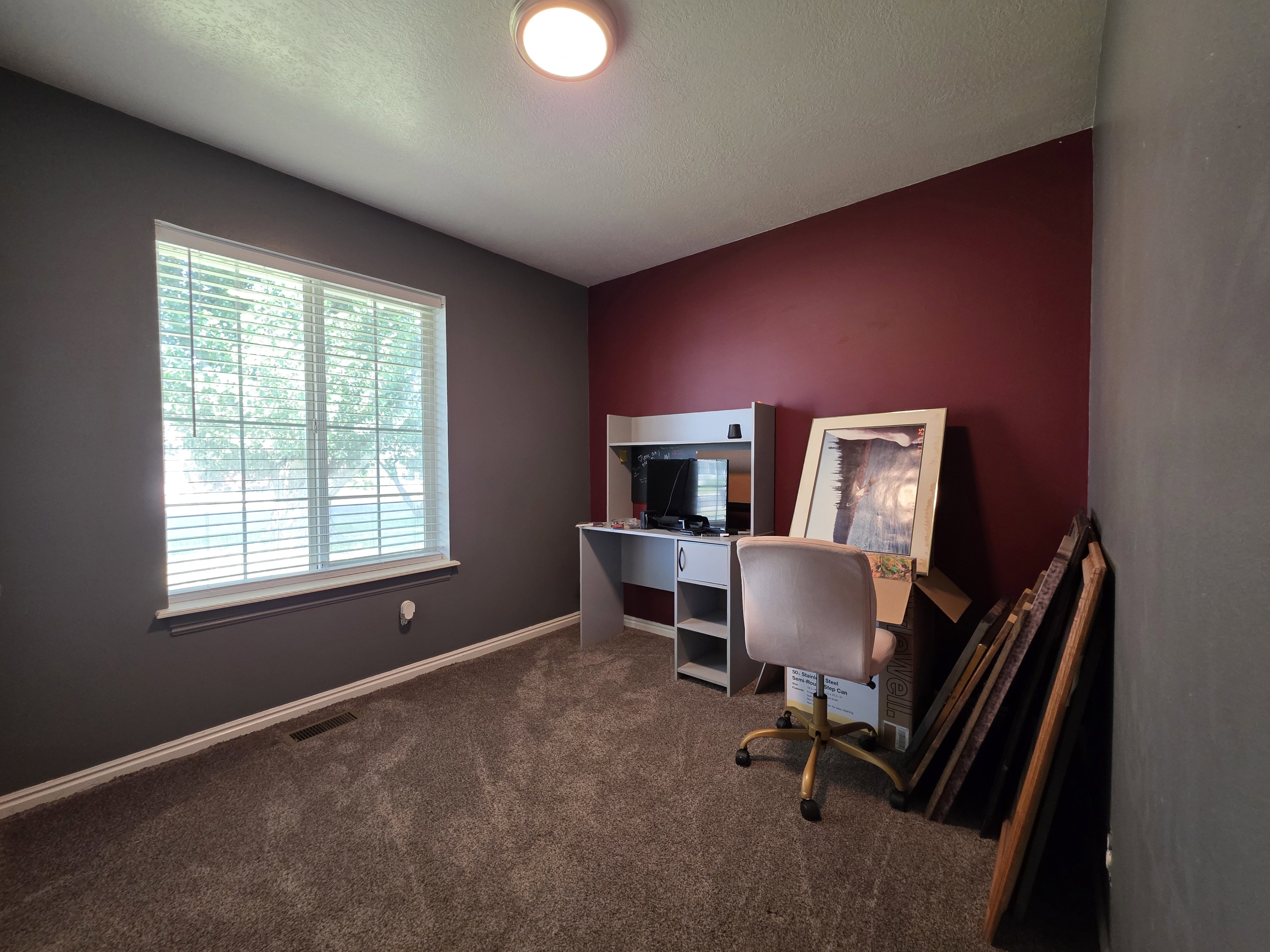 Windowed room featuring plush carpet flooring and a neutral ceiling