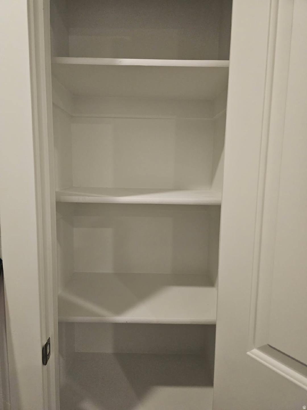Utility closet featuring multiple shelving units