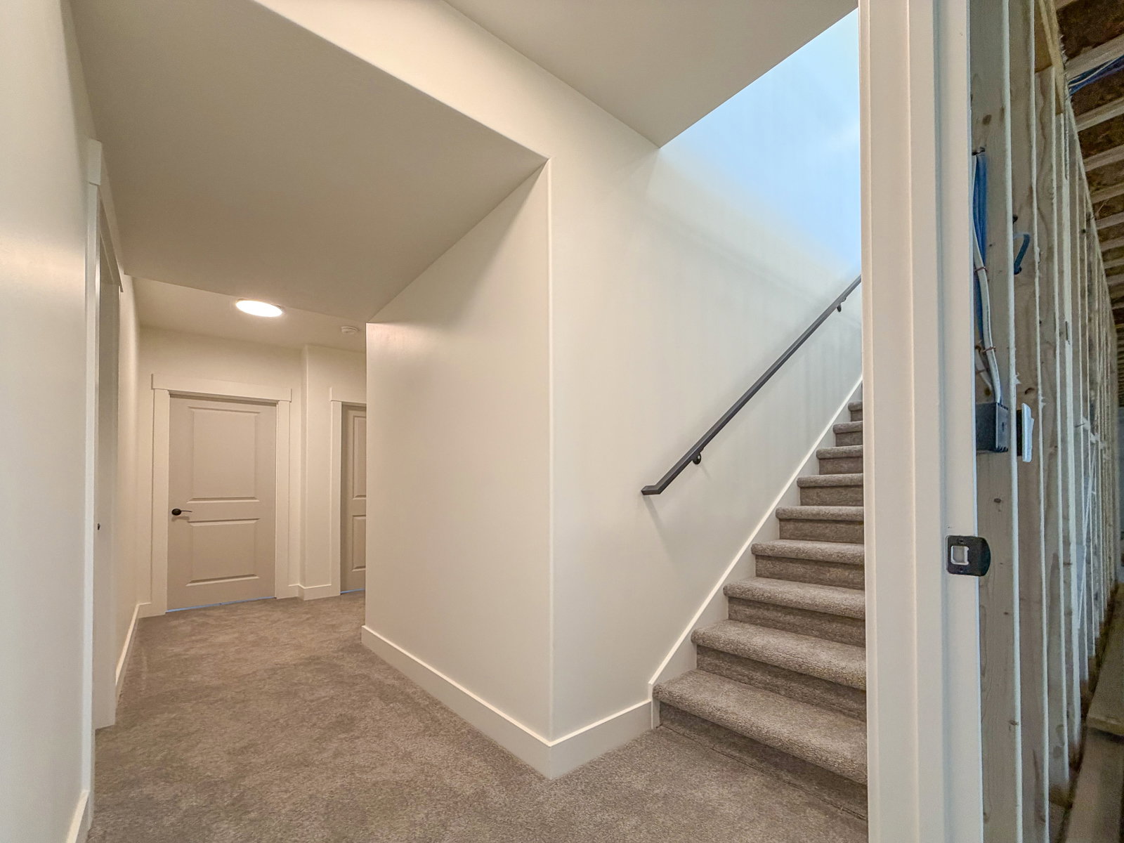 Carpeted staircase with black metal handrail