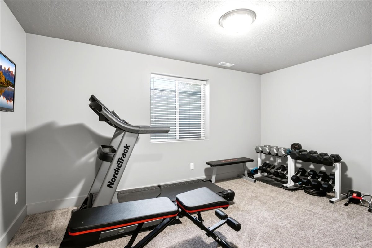 Spacious room featuring neutral carpeting, light gray walls, a single window with horizontal blinds, and a flush-mount ceiling light fixture