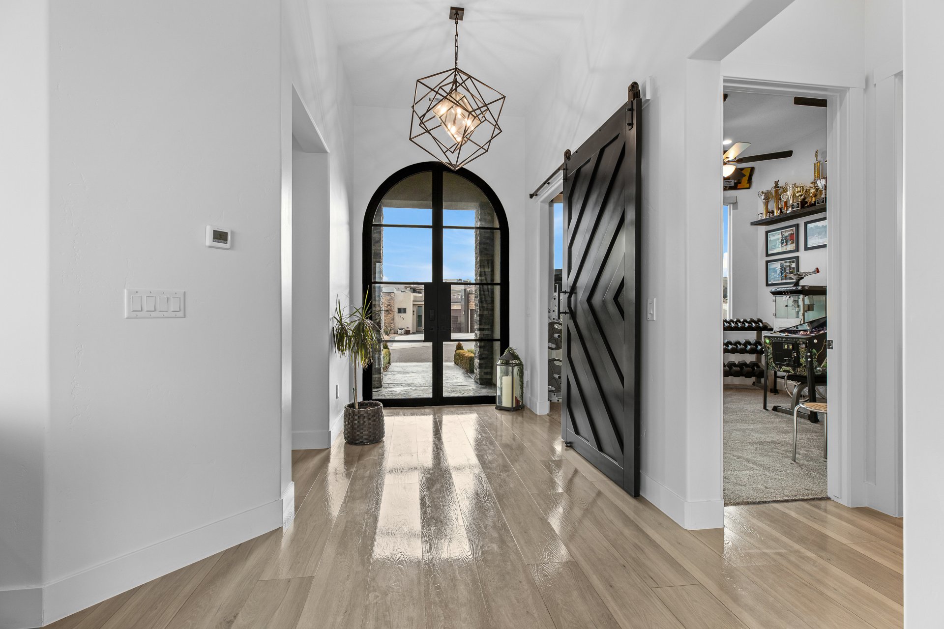 Arched glass-paneled entry door with black framing, complemented by wood-finish flooring and a contemporary geometric chandelier
