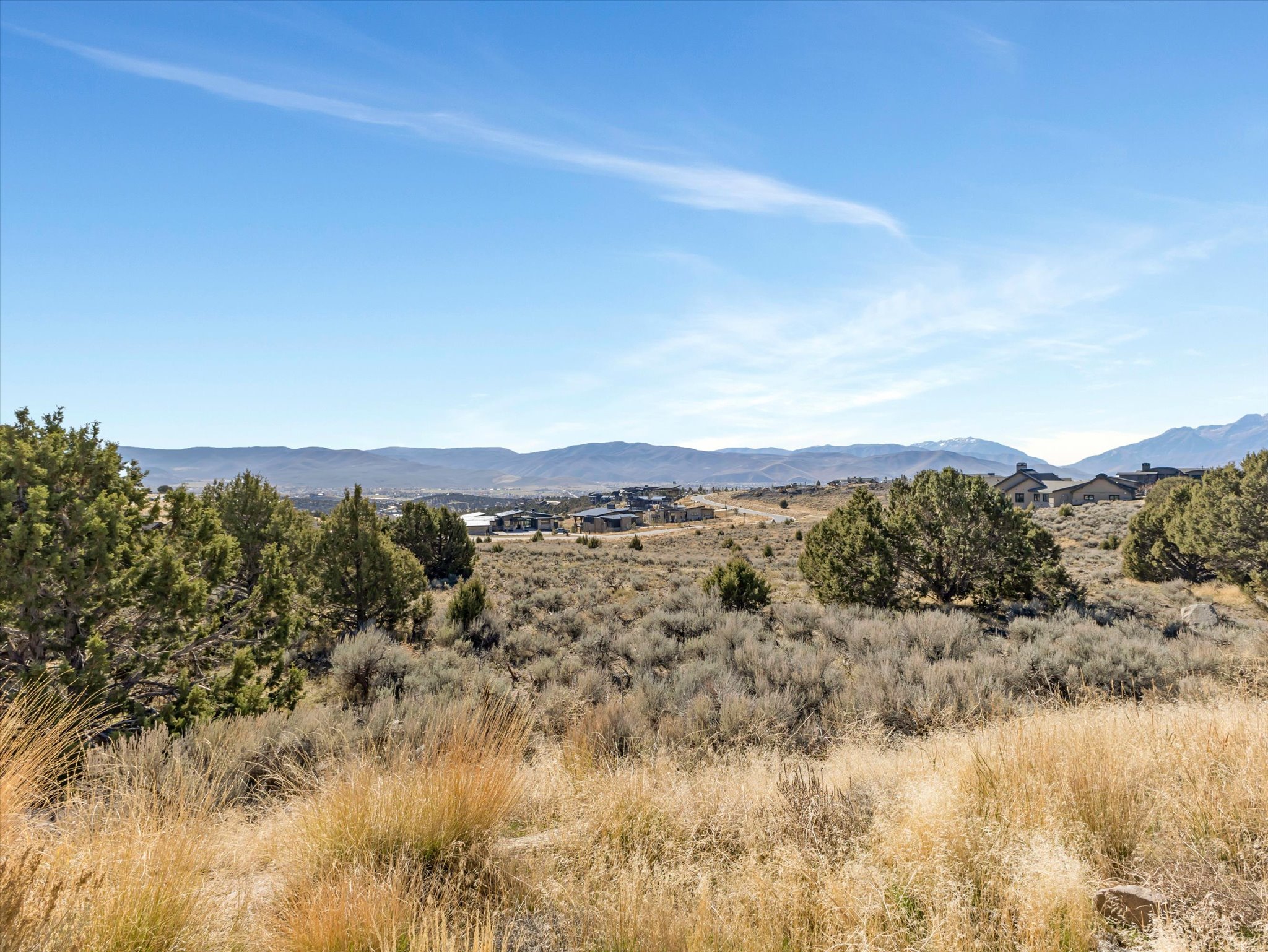 Expansive natural landscape with varied foliage, including mature evergreen trees and arid grasses