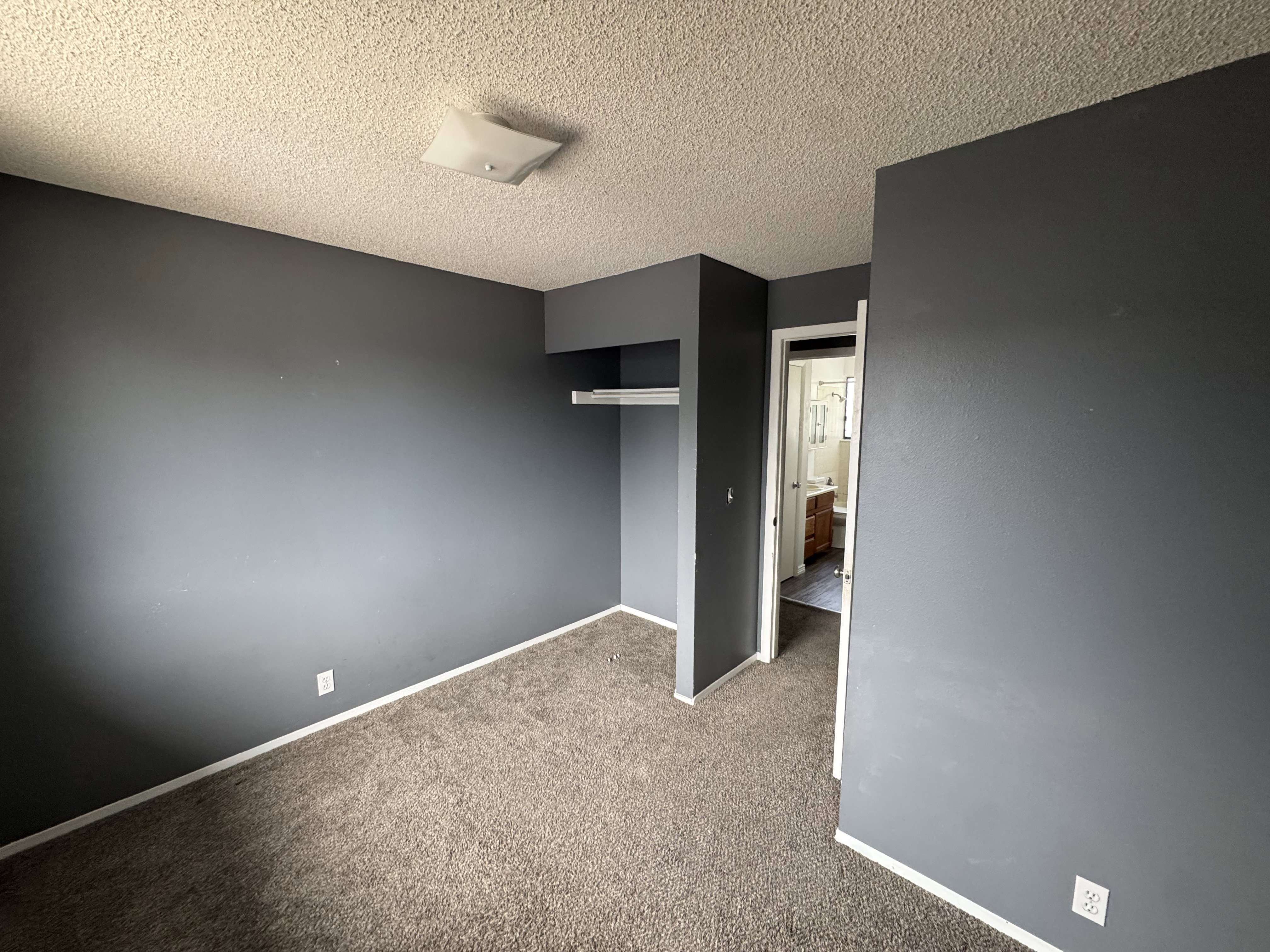 Carpeted room with dark gray walls, white trim, and a textured ceiling