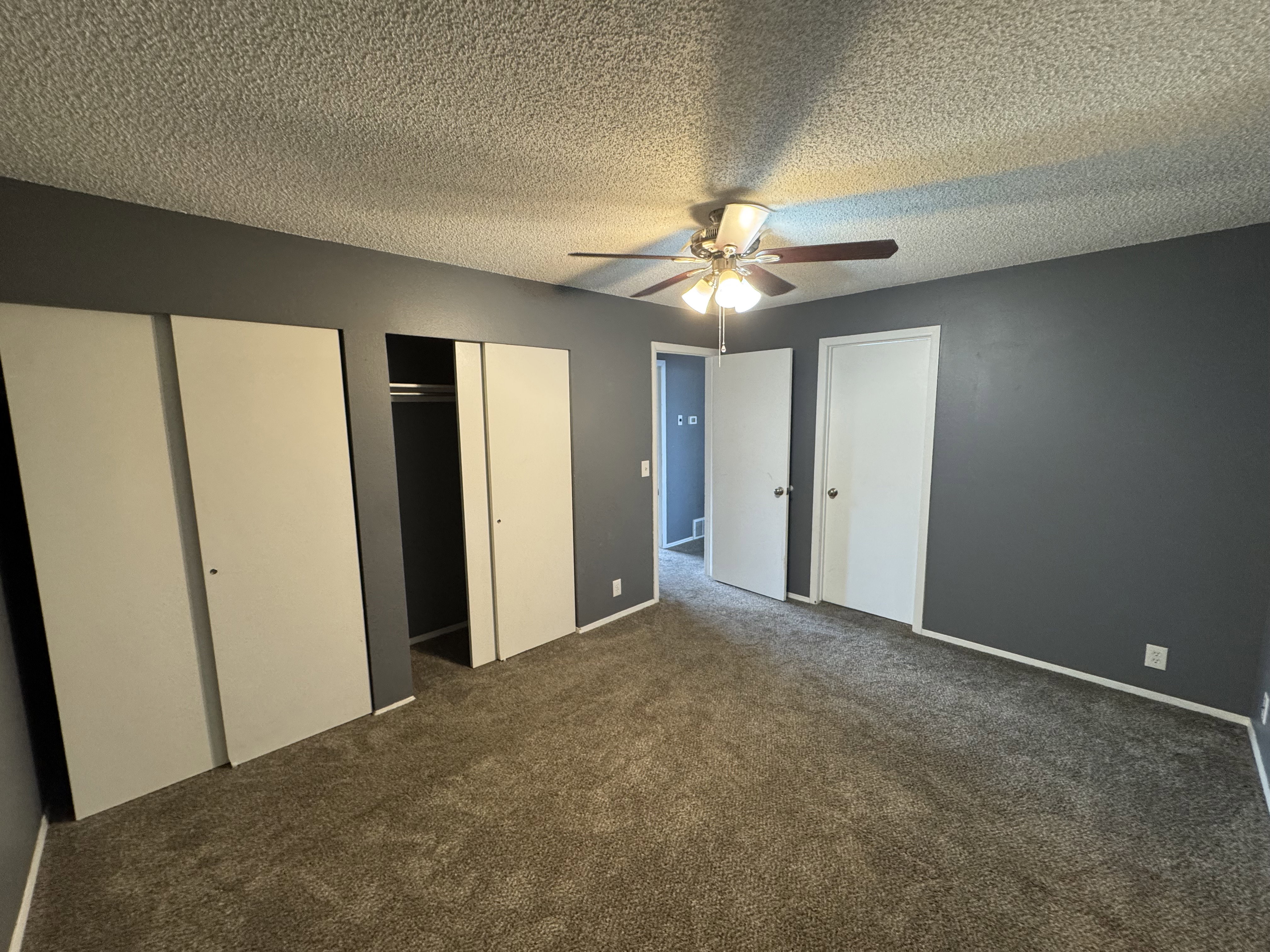 Carpeted room with dark gray walls, a ceiling fan, and two white bi-fold closet doors