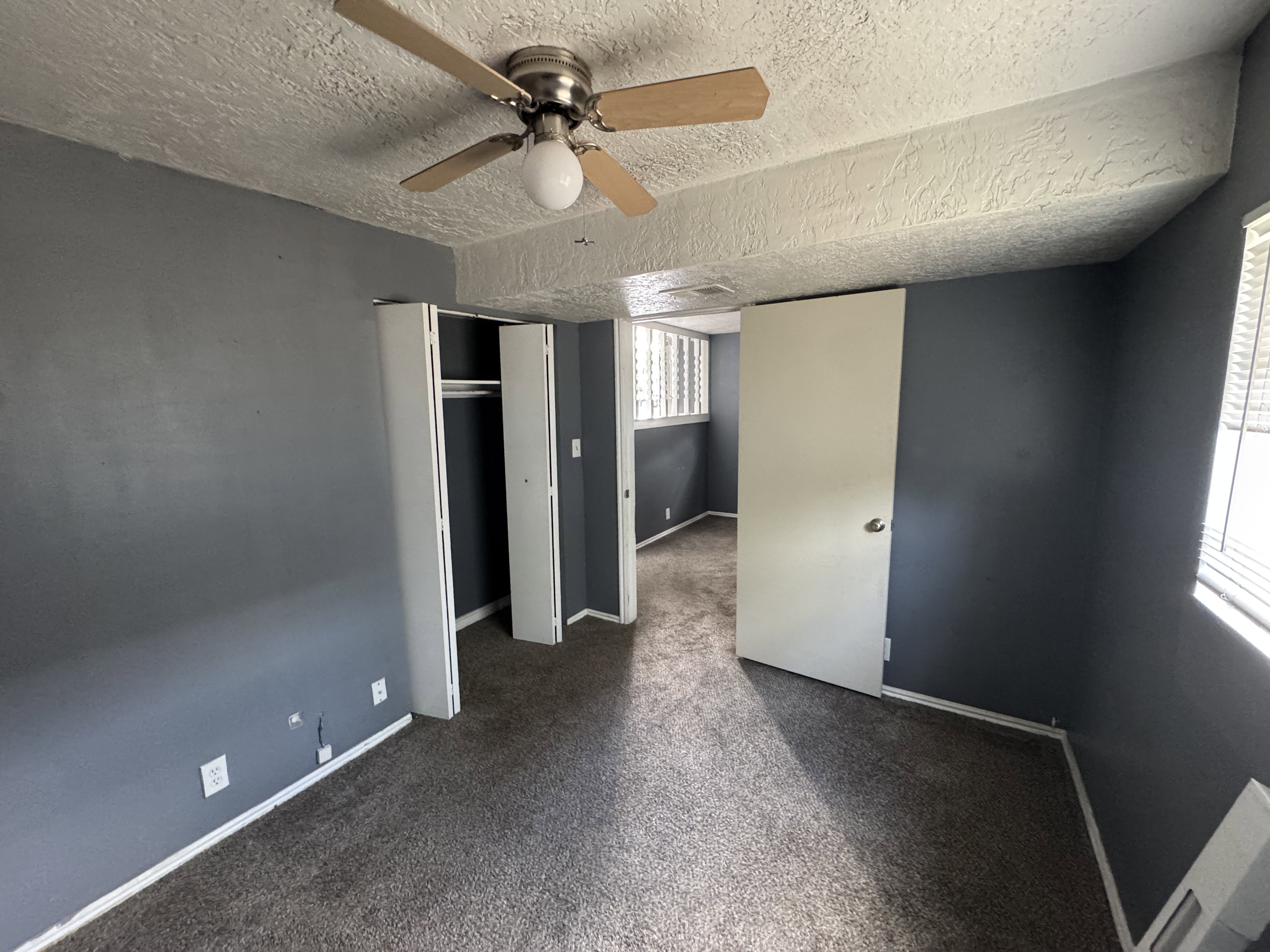 Carpeted interior space featuring dark gray walls and a ceiling fan with light fixture