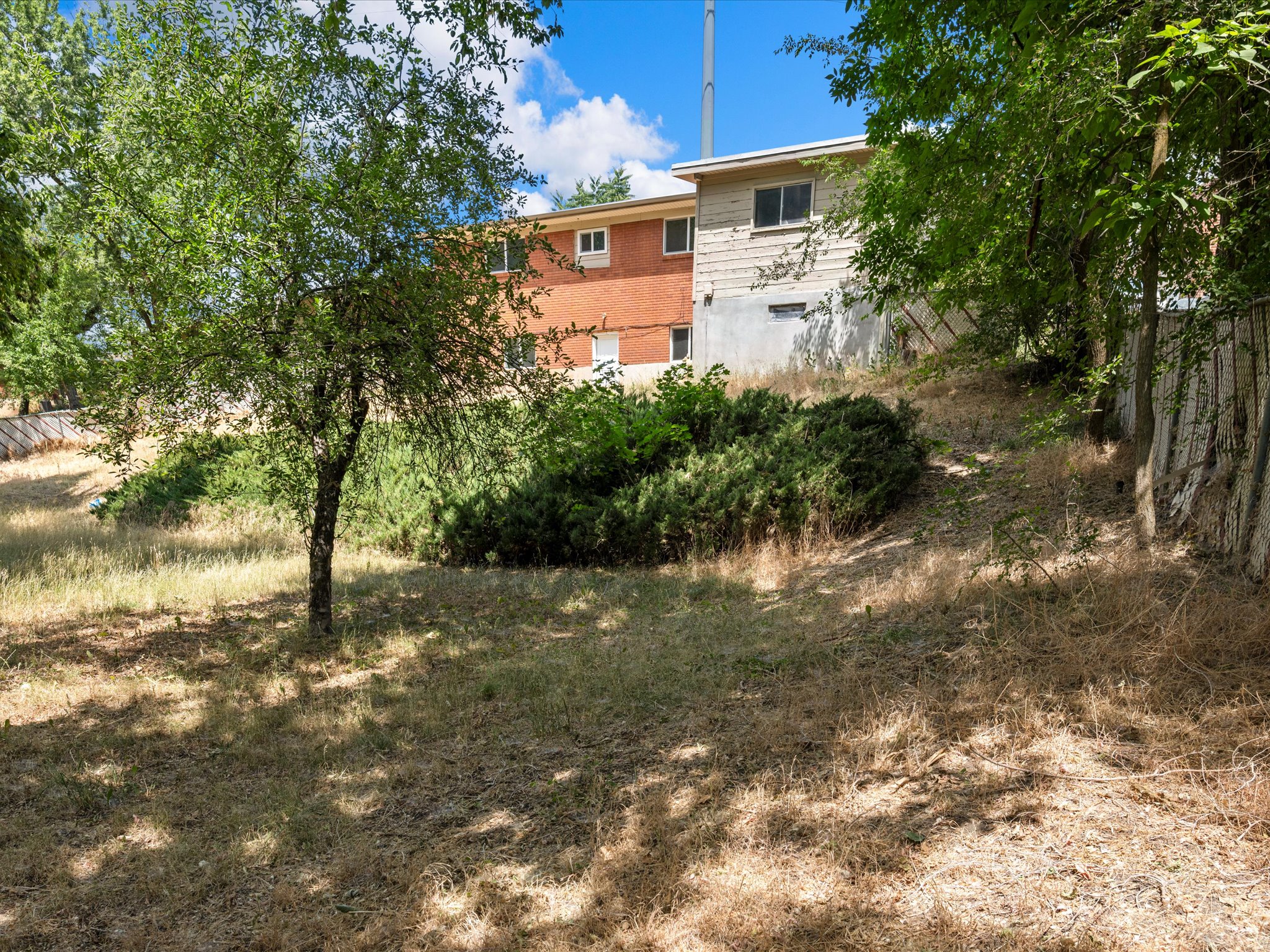 Sloping outdoor area featuring established trees and varied foliage