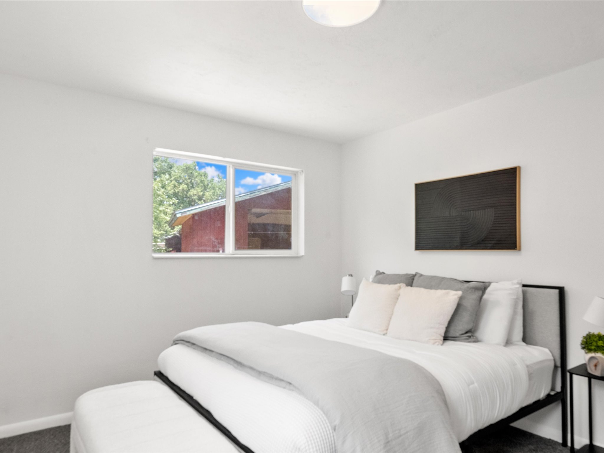 Bright bedroom featuring a double-pane window, flush-mount ceiling light, light gray painted walls, and dark gray carpet flooring