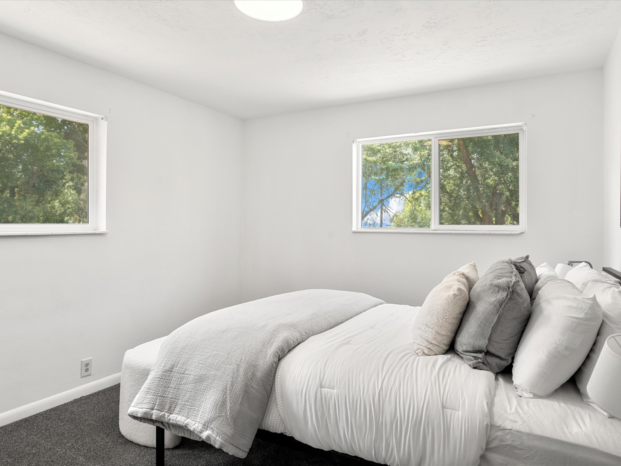 White-painted interior room featuring two windows and dark grey carpeting