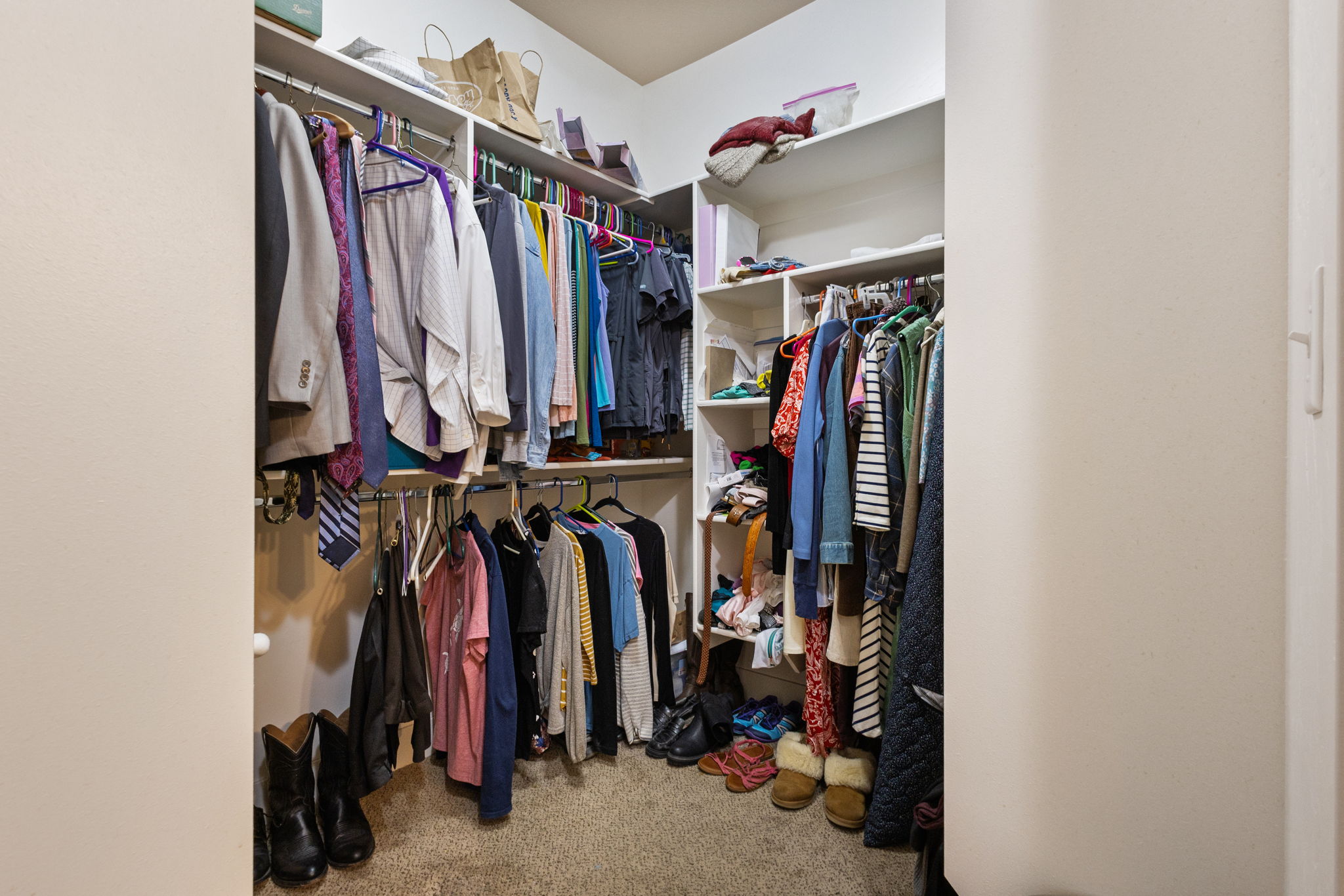 Walk-in closet with carpet flooring, white shelving, multiple hanging rods, and an overhead light