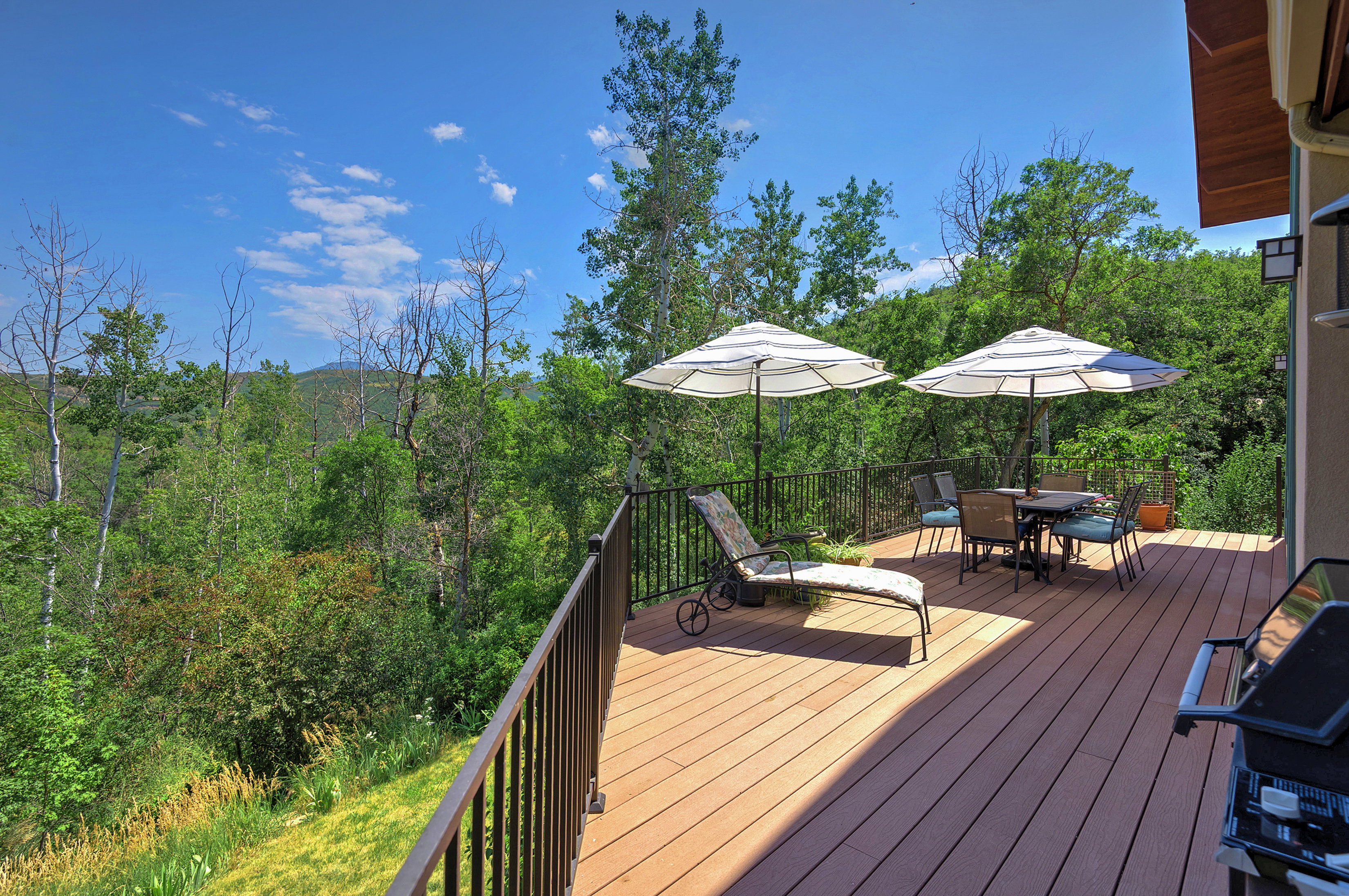 Expansive outdoor deck featuring wood-finish flooring and black metal railings