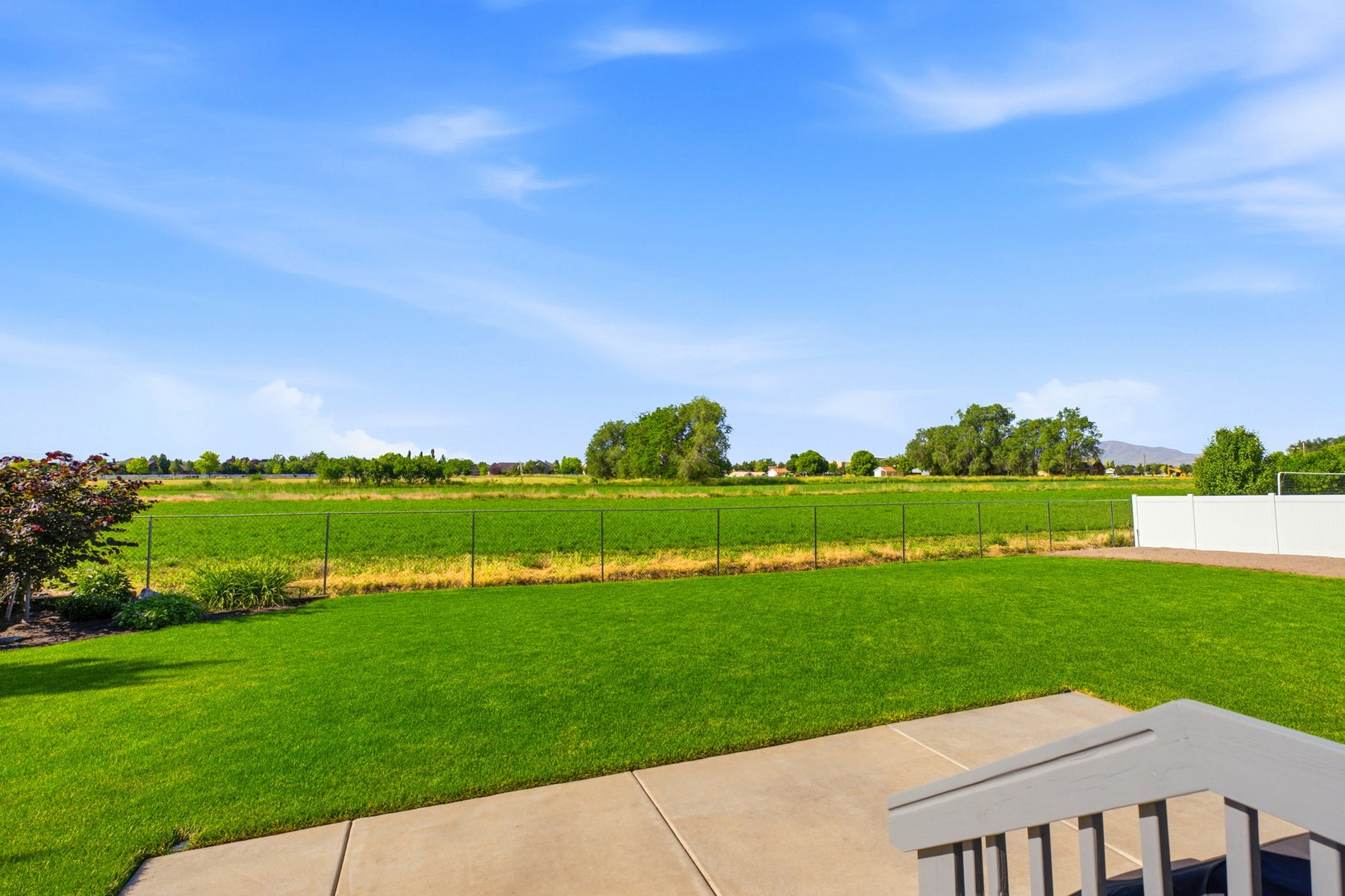 Back yard-view to the south