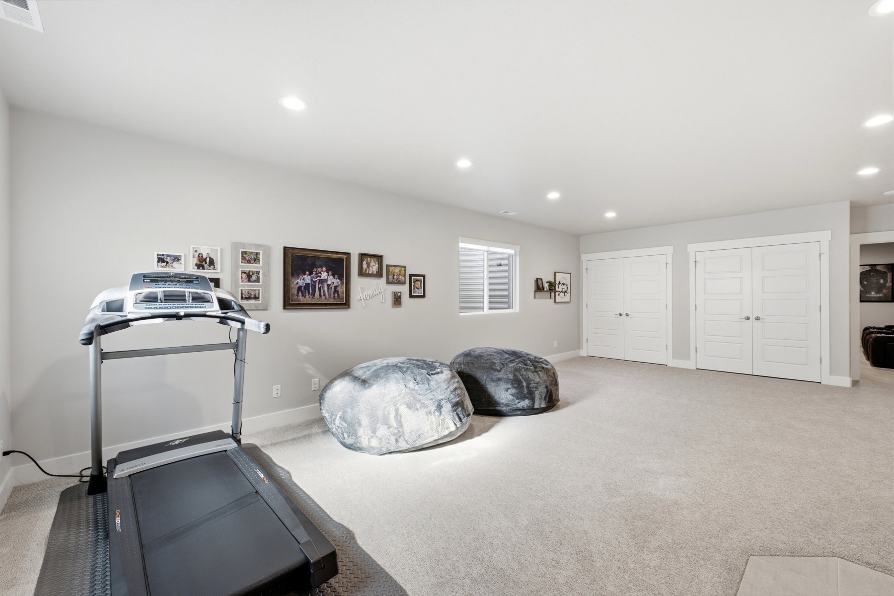 Lower level family room