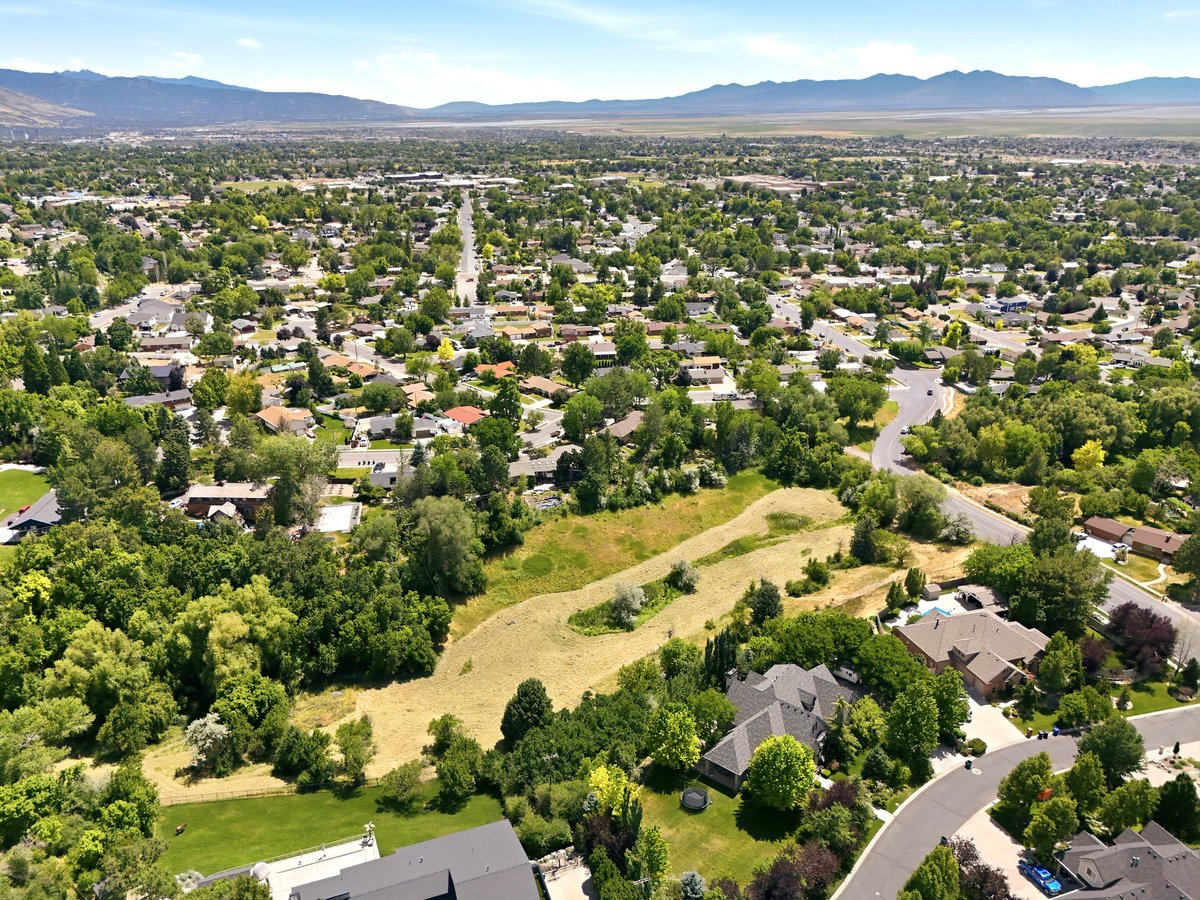 Expansive aerial perspective showcasing a residential neighborhood with mature trees