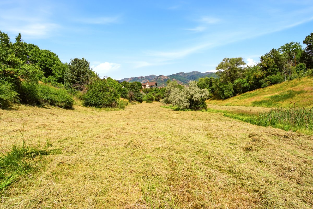 Expansive open land featuring sloped natural terrain and a distant mountain backdrop
