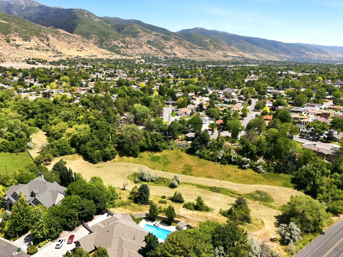 Expansive land parcel featuring natural vegetation and surrounding mature trees