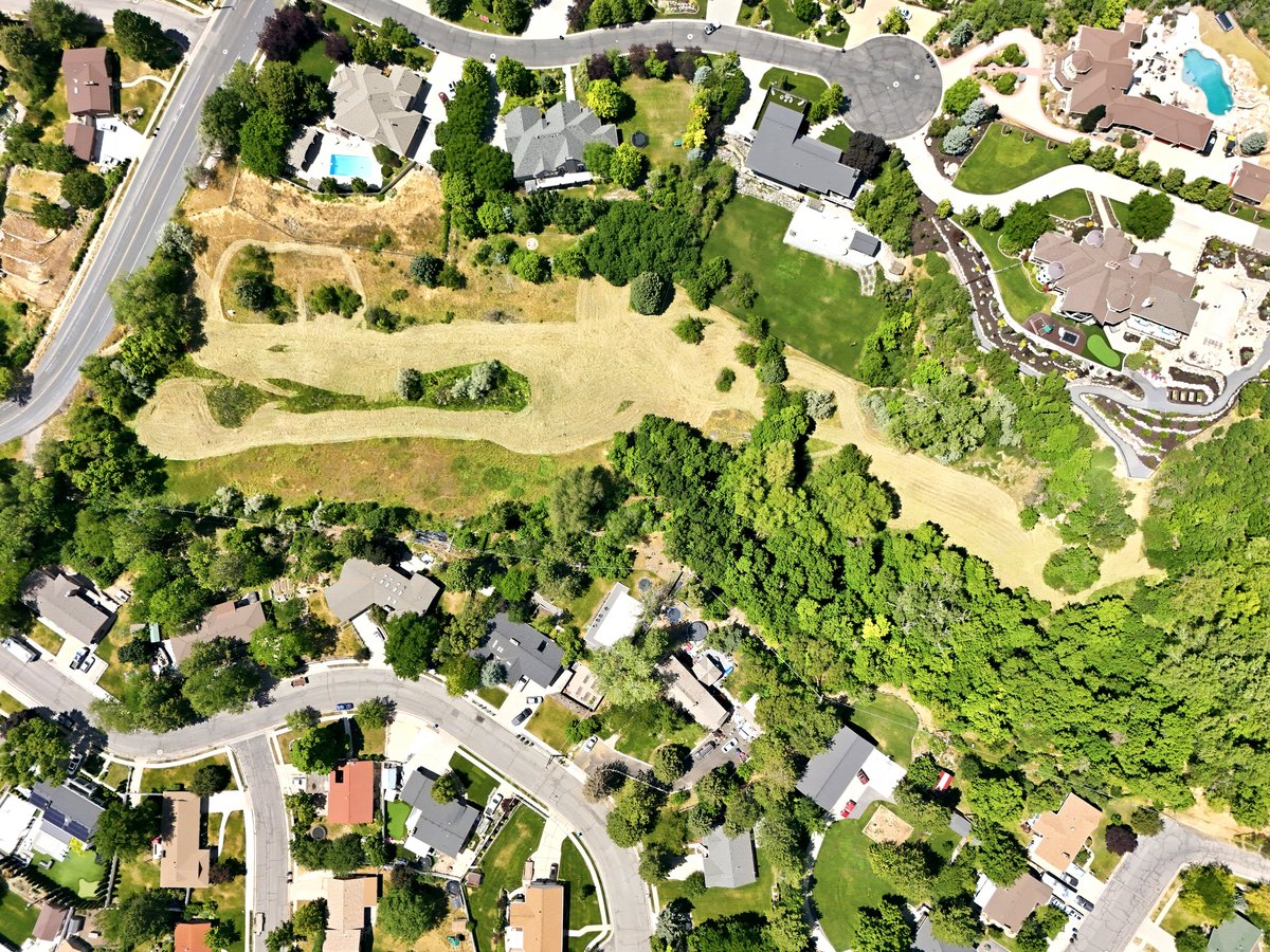 Expansive land parcel featuring natural terrain and mature tree coverage