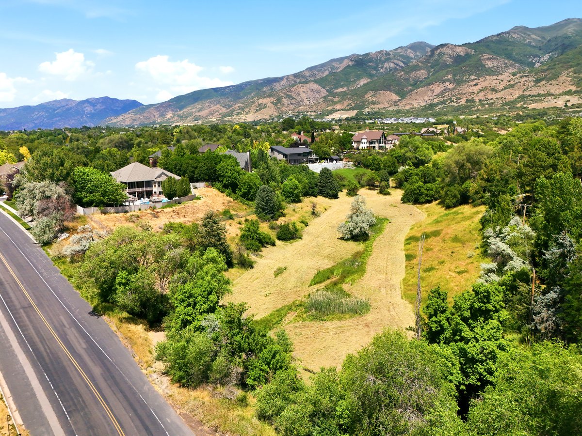 Expansive undeveloped lot featuring varied topography and established trees