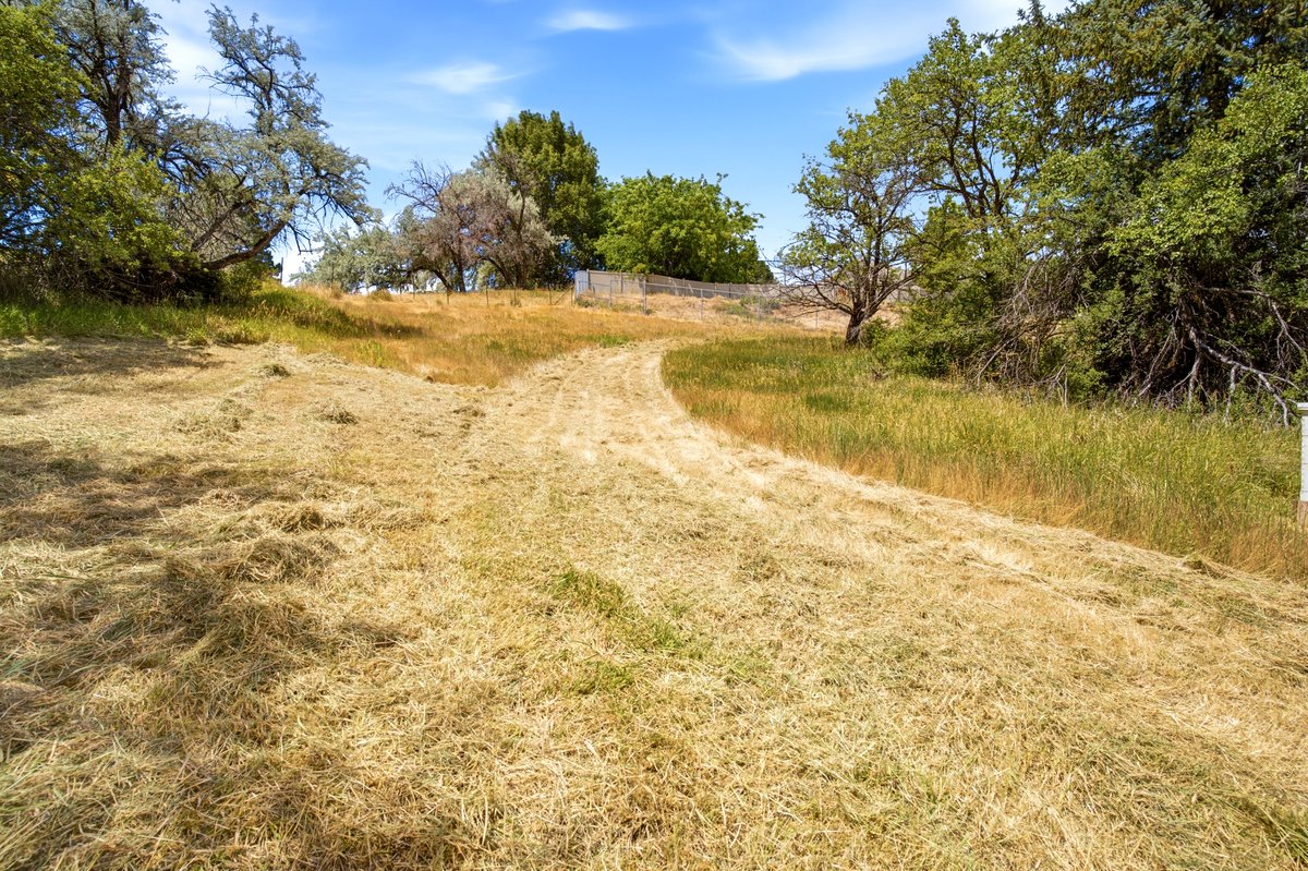 Expansive lot featuring a mown path and mature trees