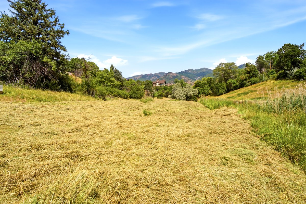 Expansive land parcel featuring natural grasses and mature trees