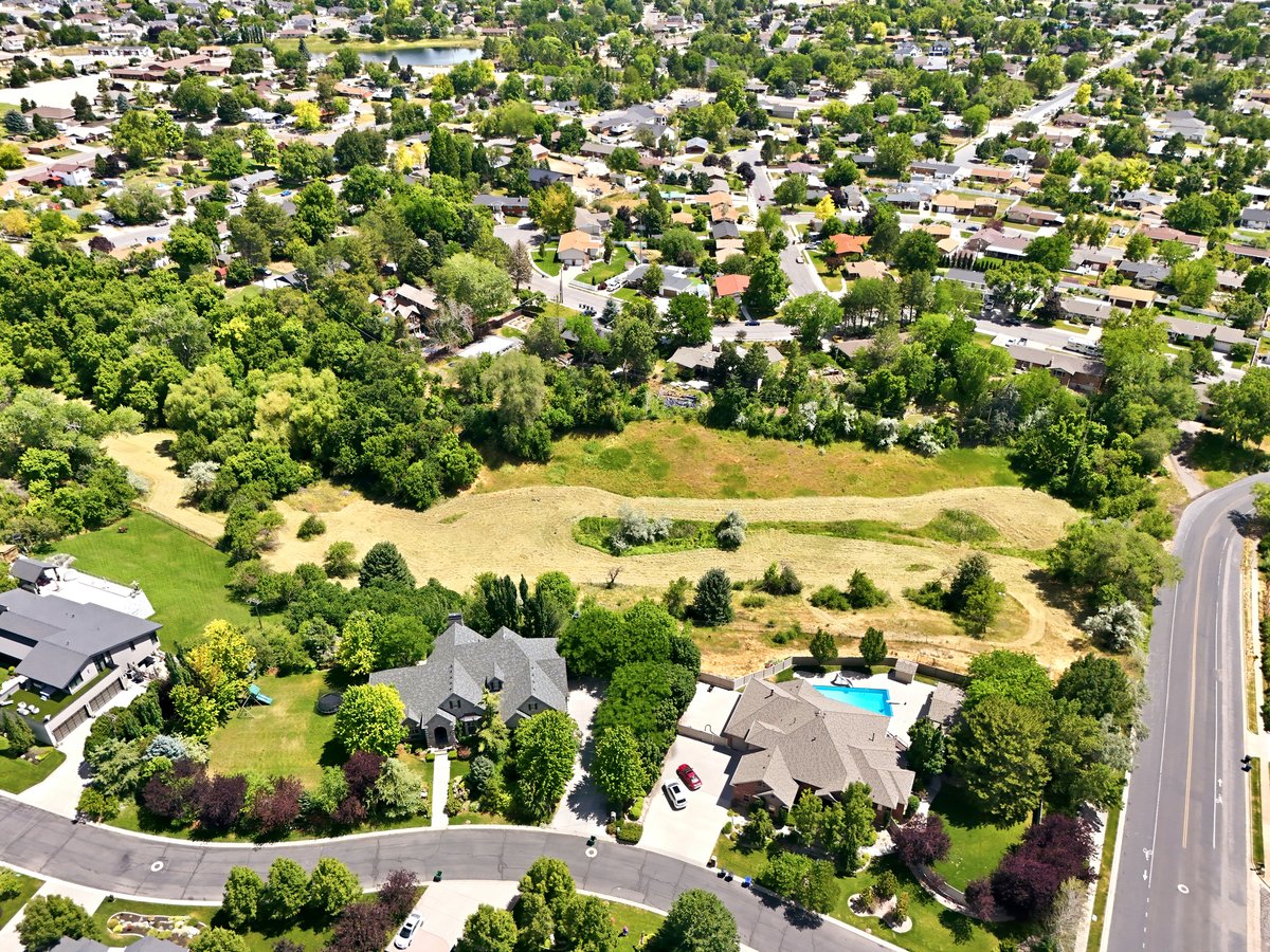 Aerial perspective showcasing a residential area with extensive mature trees and green spaces