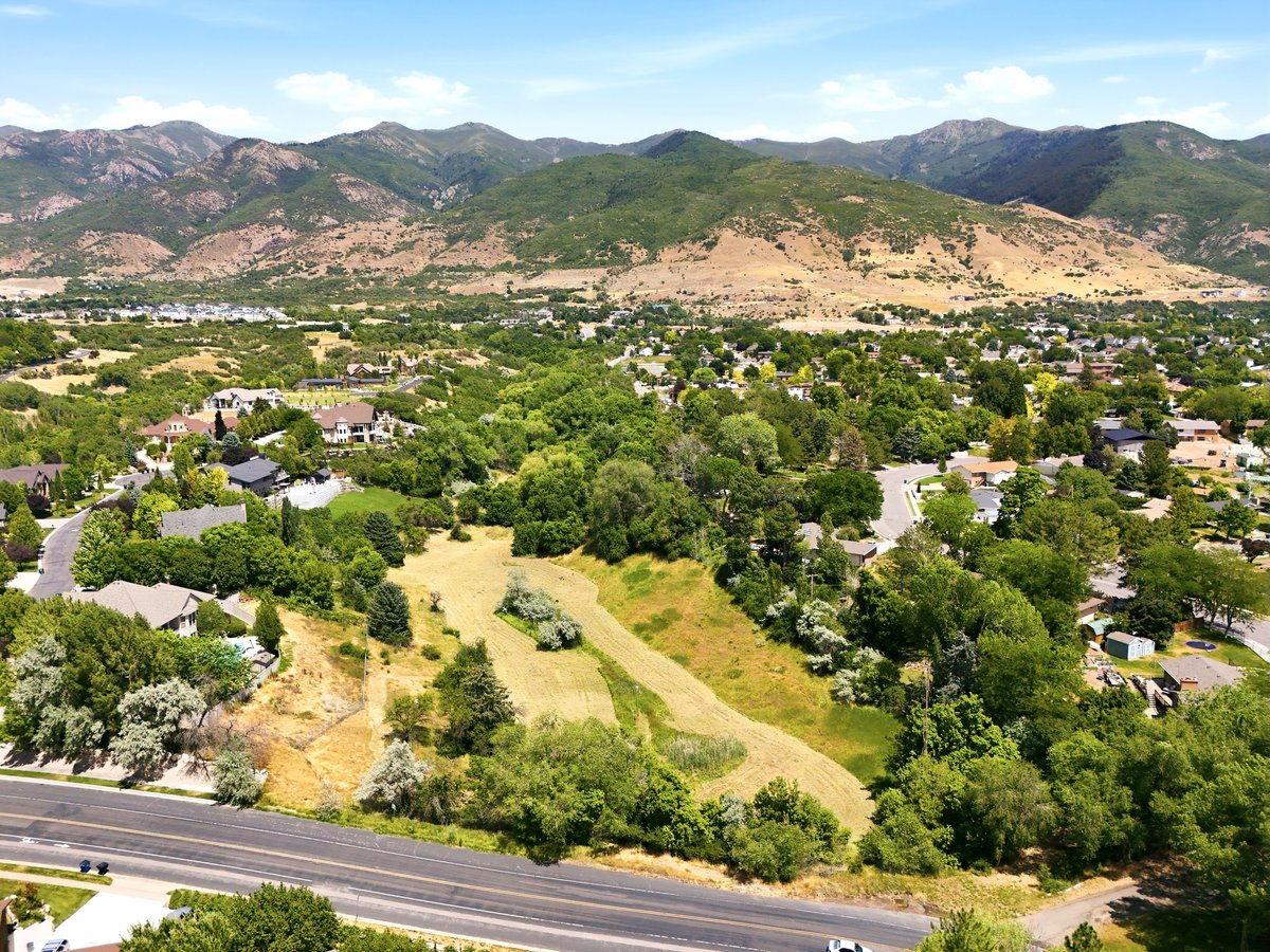 Expansive land parcel featuring natural terrain and mature trees