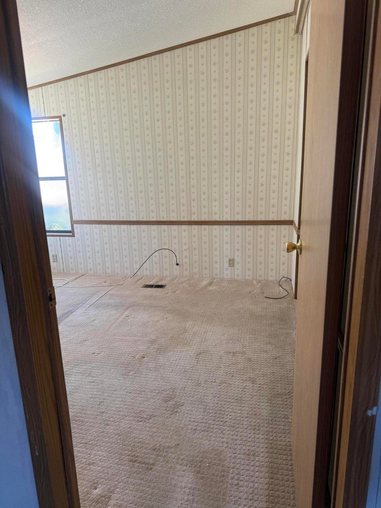 Carpeted room with patterned wall covering, a window, and wood-finish trim