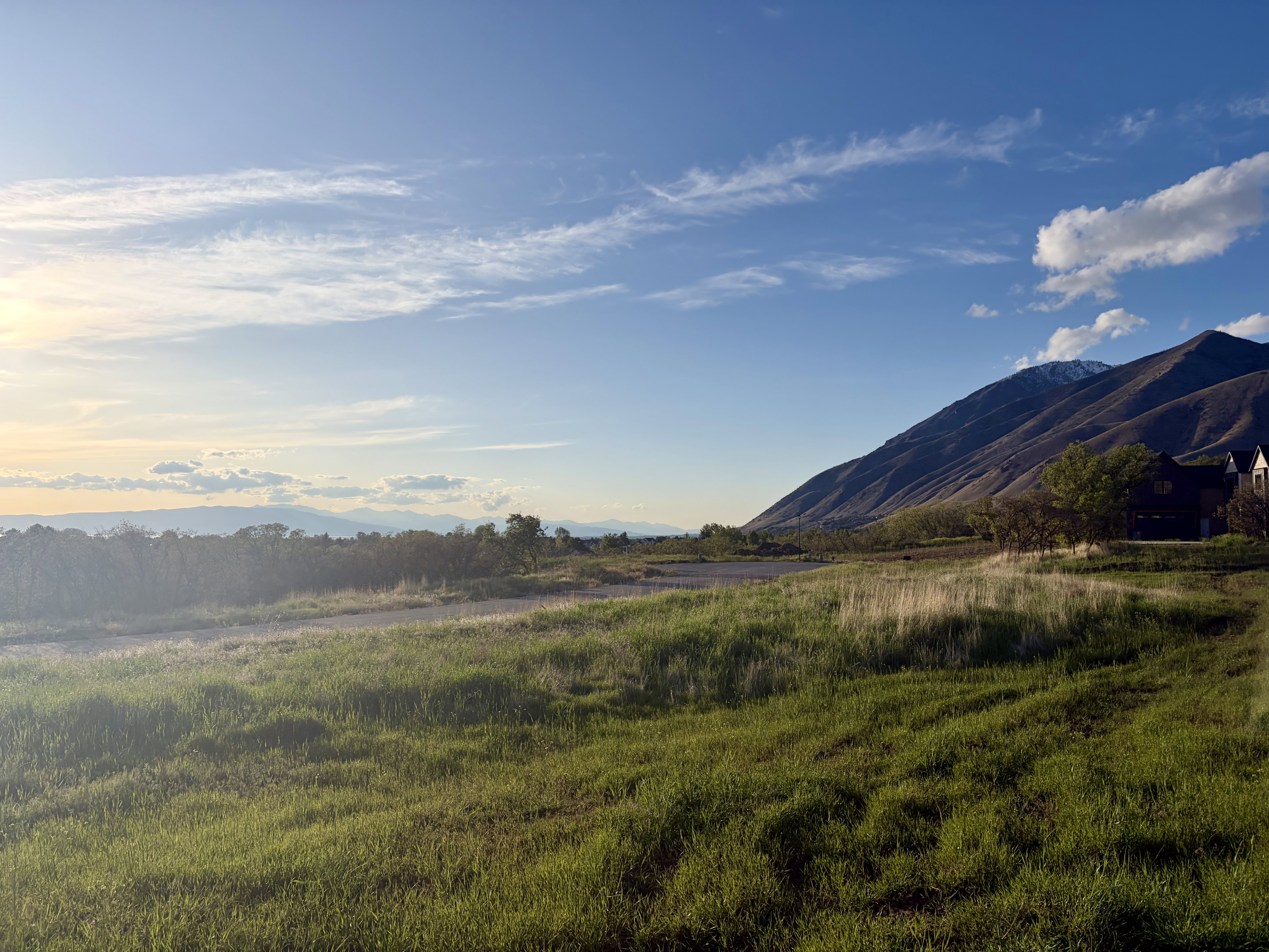 Expansive grassy terrain with mountain backdrop