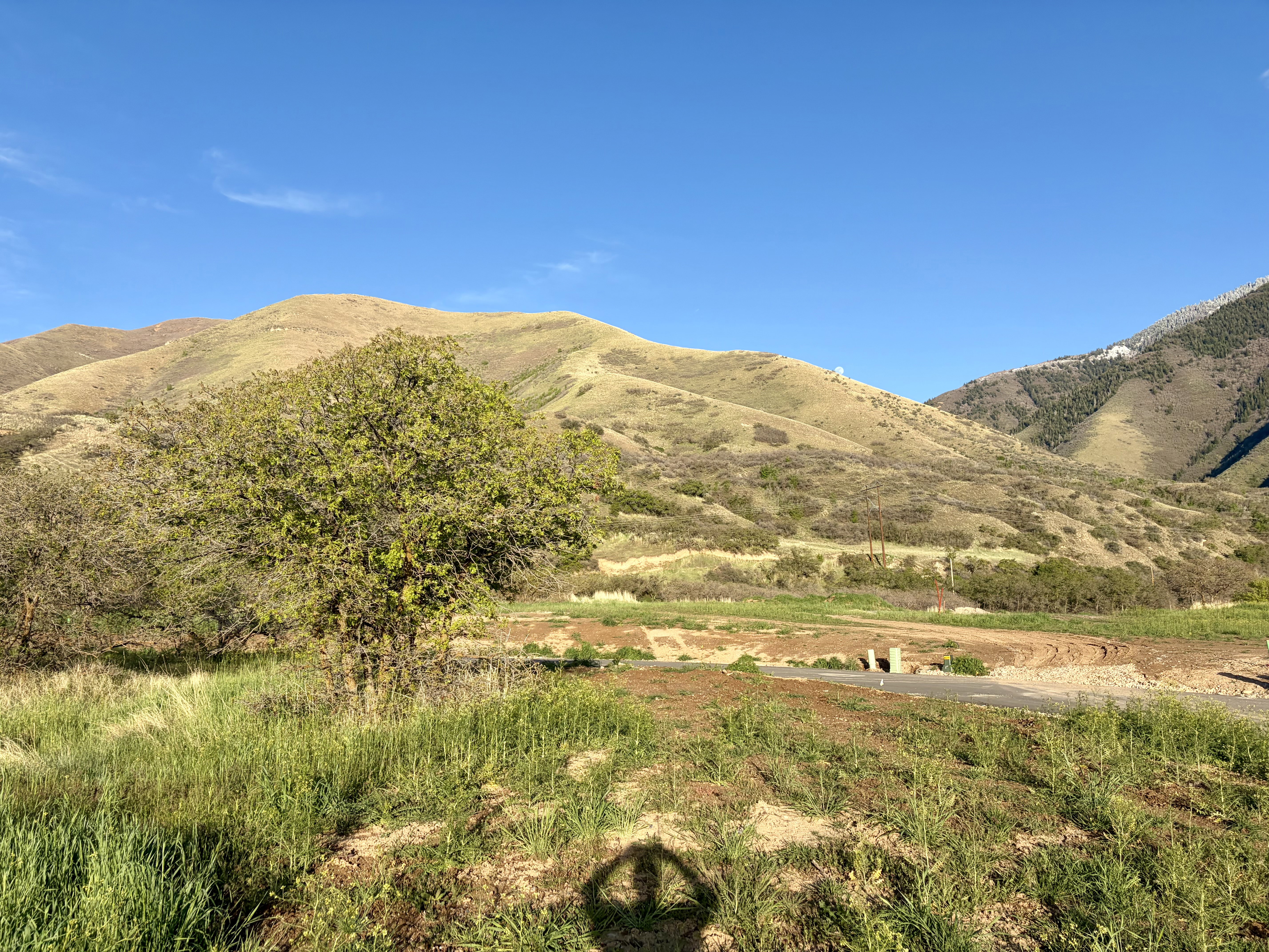 Expansive natural landscape featuring rolling hills and distant mountain peaks