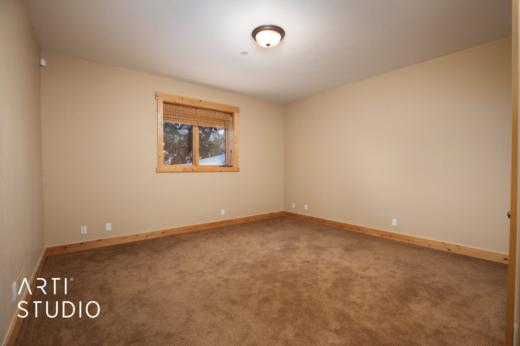 Carpeted room featuring a window with wood-finish trim, a woven shade, and a flush mount ceiling light fixture