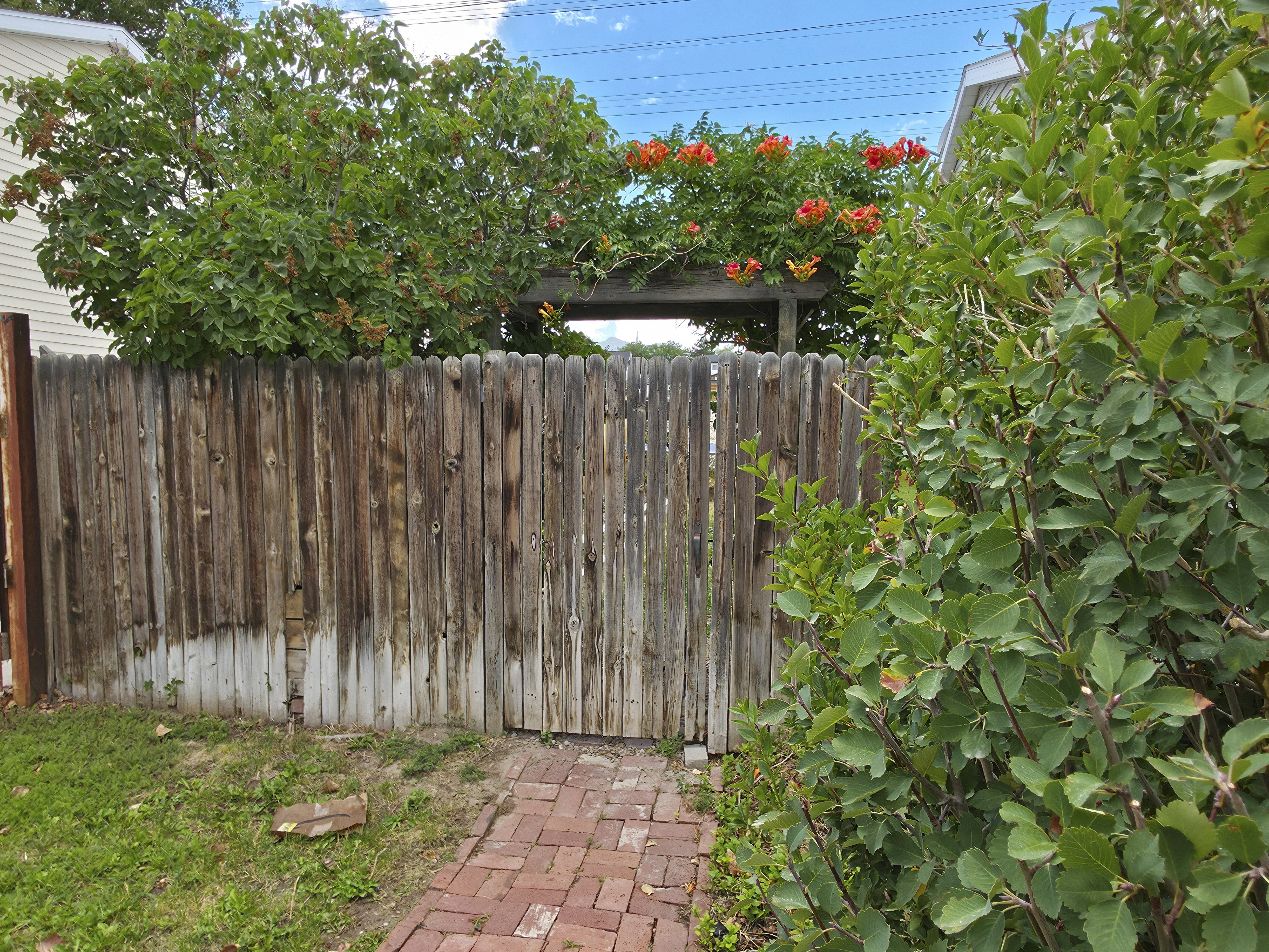 Gate from front yard to back yard on south side.