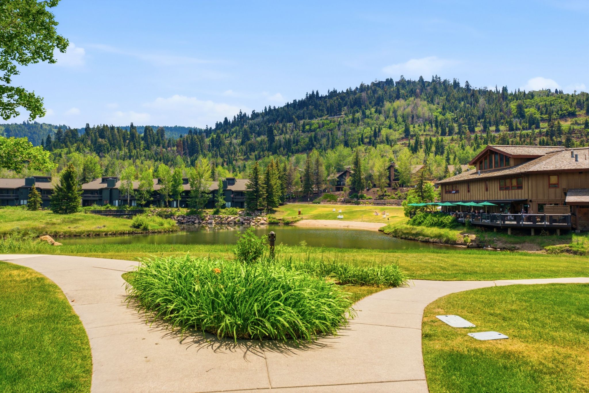 Winding paved pathways surrounded by manicured lawns and lush greenery